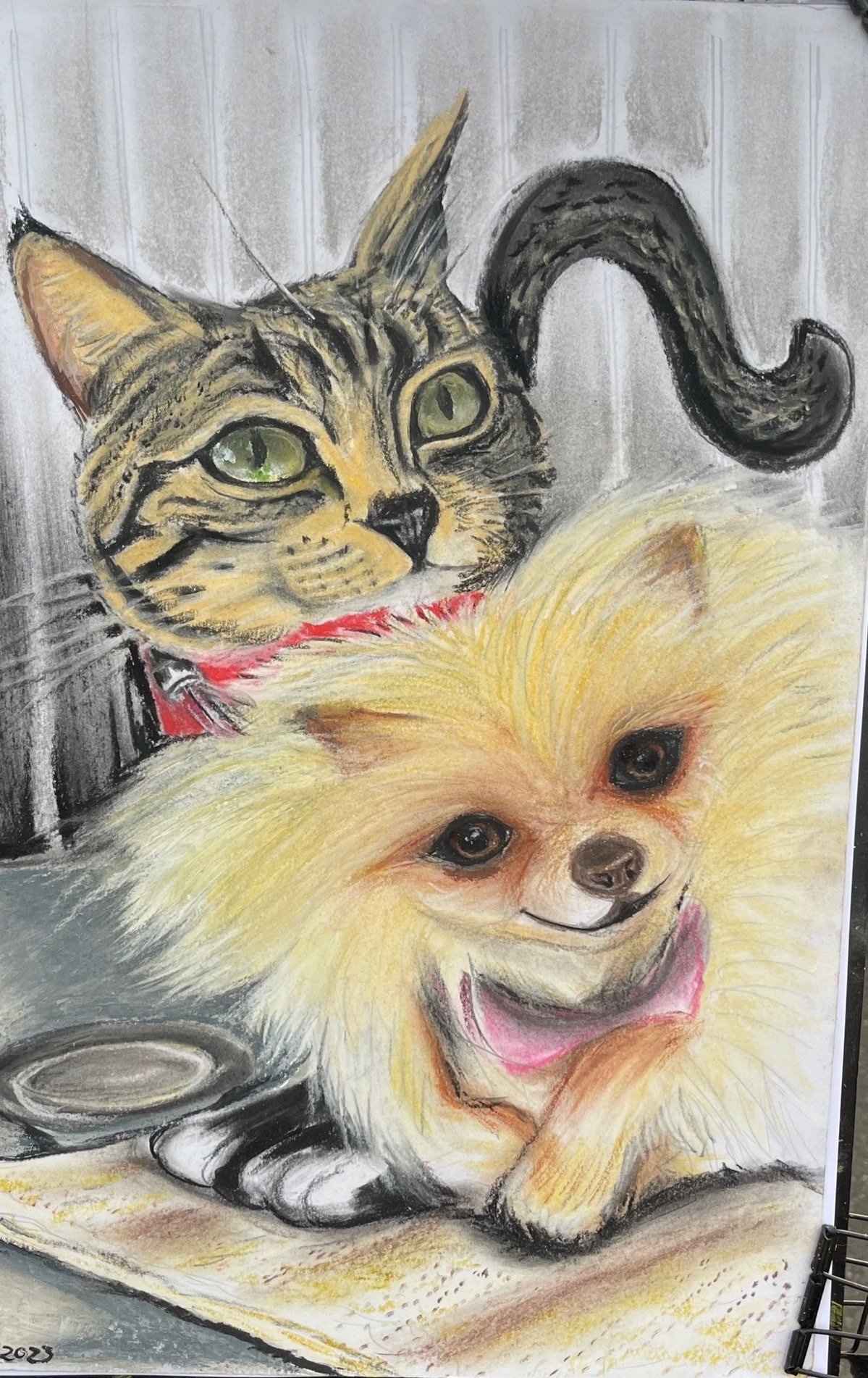 Cat & Dog.jpeg