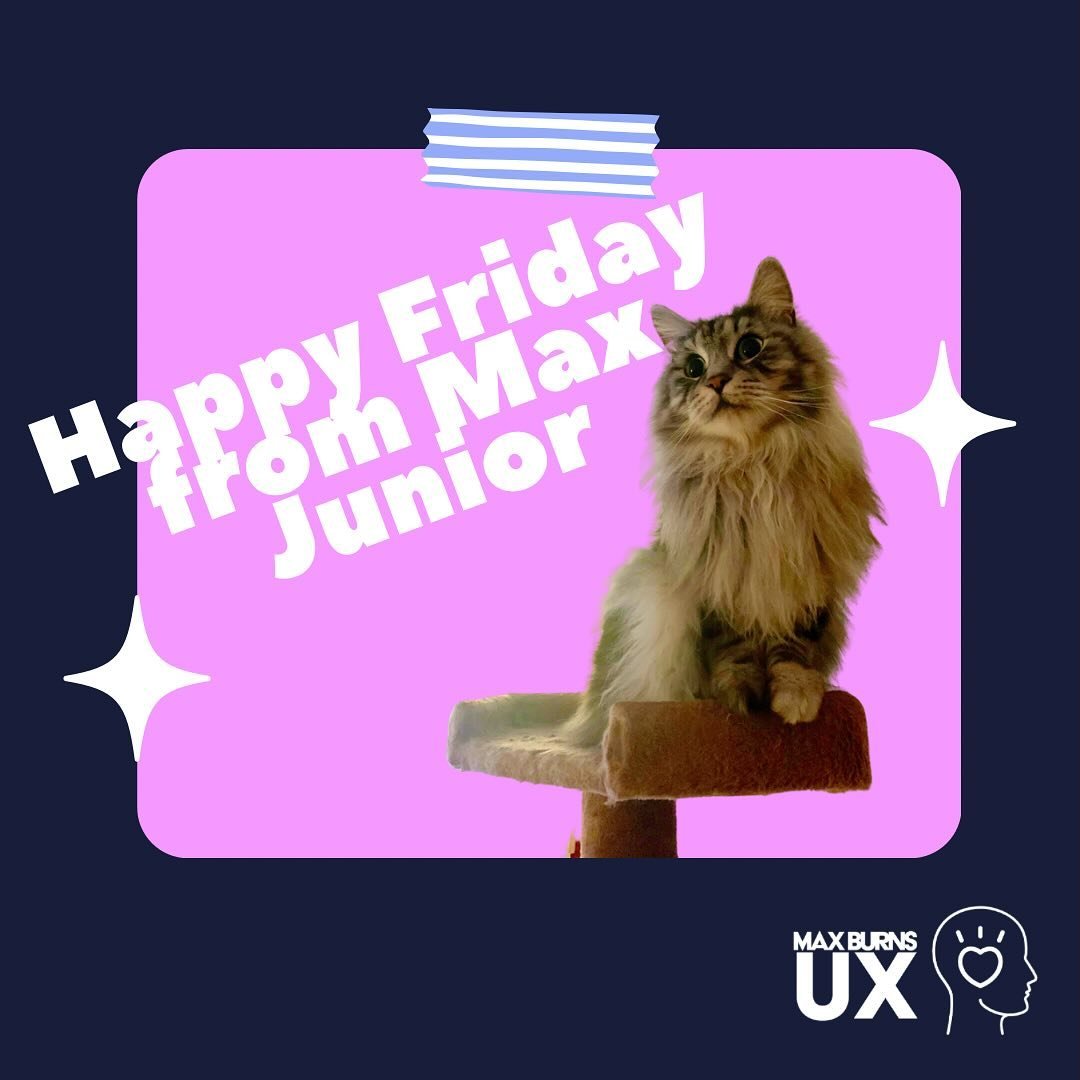 WFH folks- don&rsquo;t forget to shout out your support staff! 🤩

#WebDesigner #SquarespaceDesign #WorkFromHome #HelperCat #SupportStaff

Alt text: Happy Friday from Max Junior!
