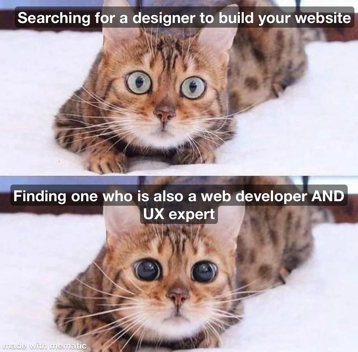 Did I mention I cook too? 🥘

#queerdesigner #queerdeveloper #queerwebsites #UXDesign #kinddesignsonline 

Image description: meme shows a split screen with the top half an image of a cat in an about to pounce position focused on something with the t