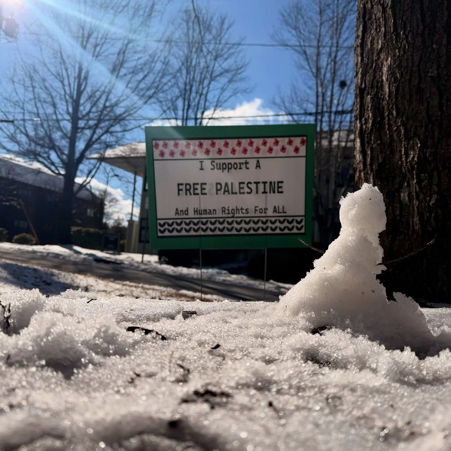 Nothing out here but continued support for Palestine, messages of the revolution, and some gorgeous slushy running weather. ⛄️

Image description: slide 1: tiny snowman slush pile next to a yard sign that reads, &ldquo;I support a free Palestine and 
