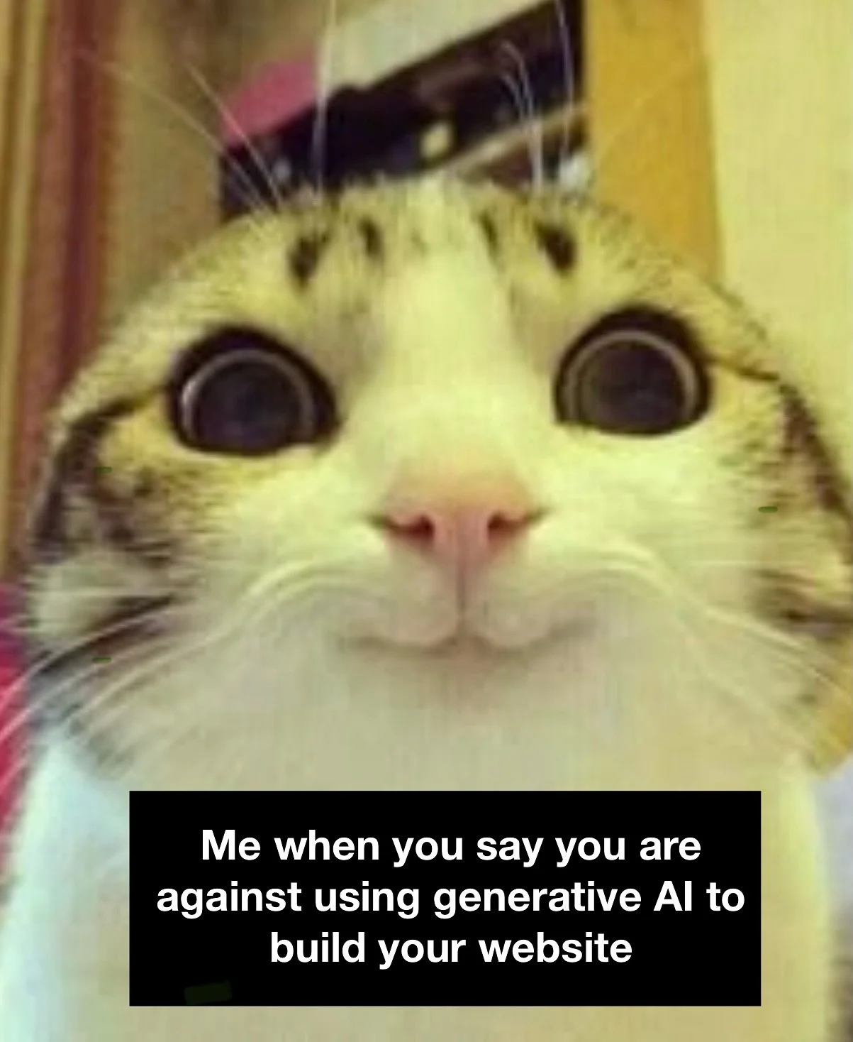 What&rsquo;s the upper limit ratio on homemade cat memes for small biz insta accounts? 🤓

#queerdesigner #kinddesign #QueerUX #queerWebsites 

Image description: series of four slides of memes all with the same background image of a cat closeup goof