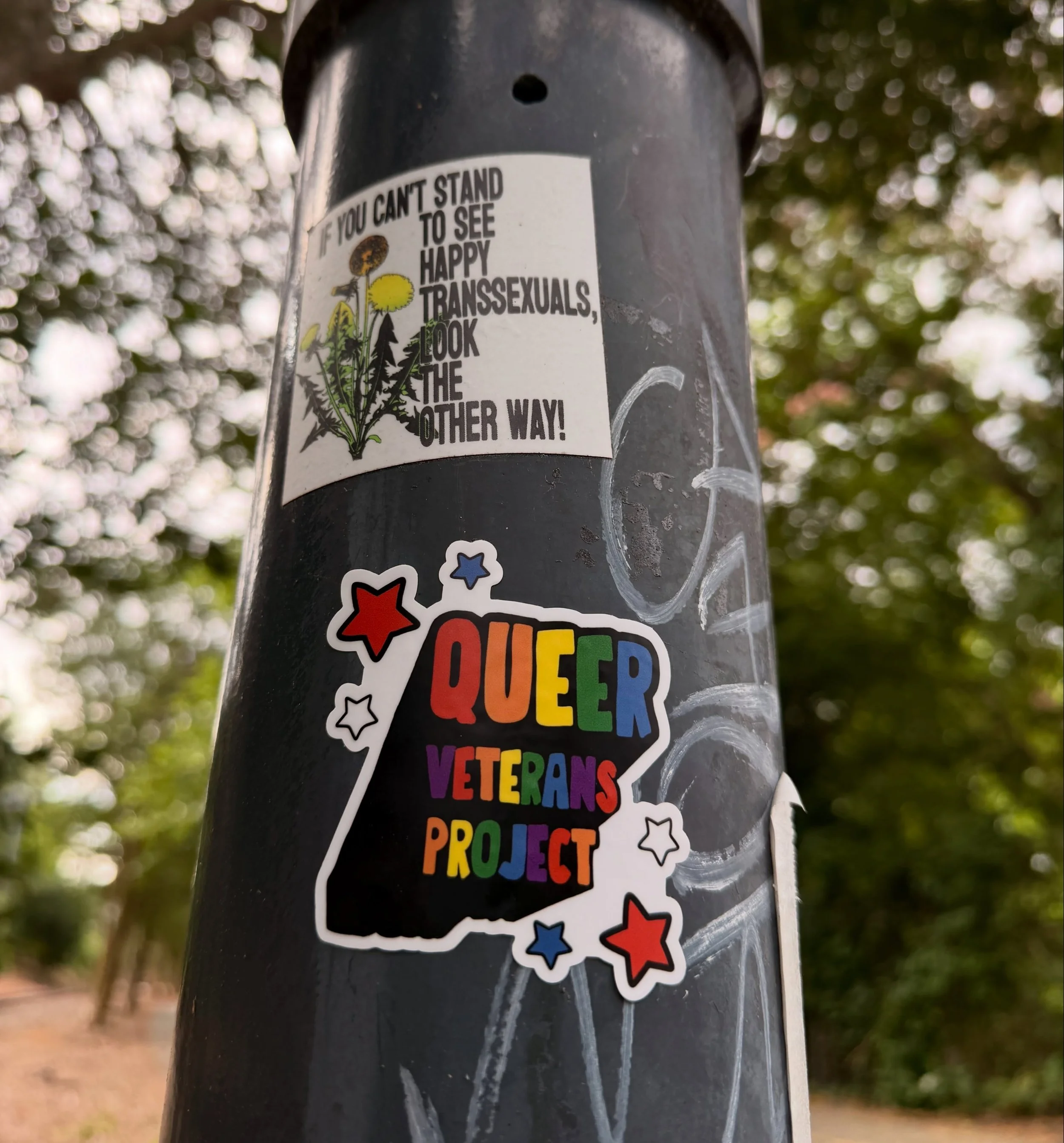 The south is always ready for you, @queer_veterans_project 💘🏳️&zwj;⚧️🏳️&zwj;🌈

ID: queer veterans project logo sticker in rainbow font with six red white and blue stars on a post under another sticker that says &ldquo;if you can&rsquo;t stand to 