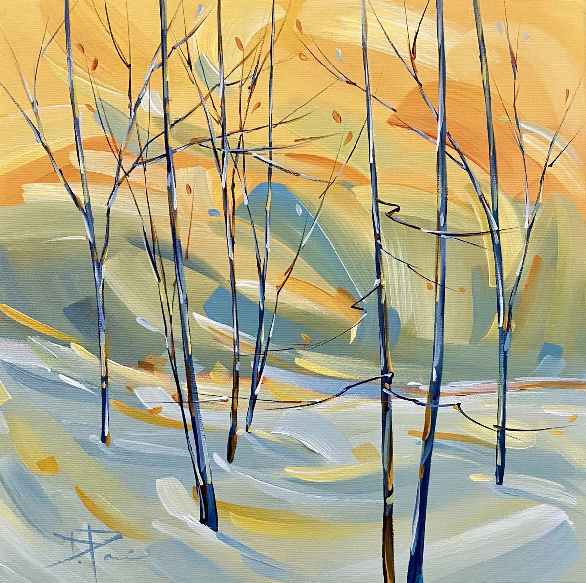 NEW DAY 12X12  $350