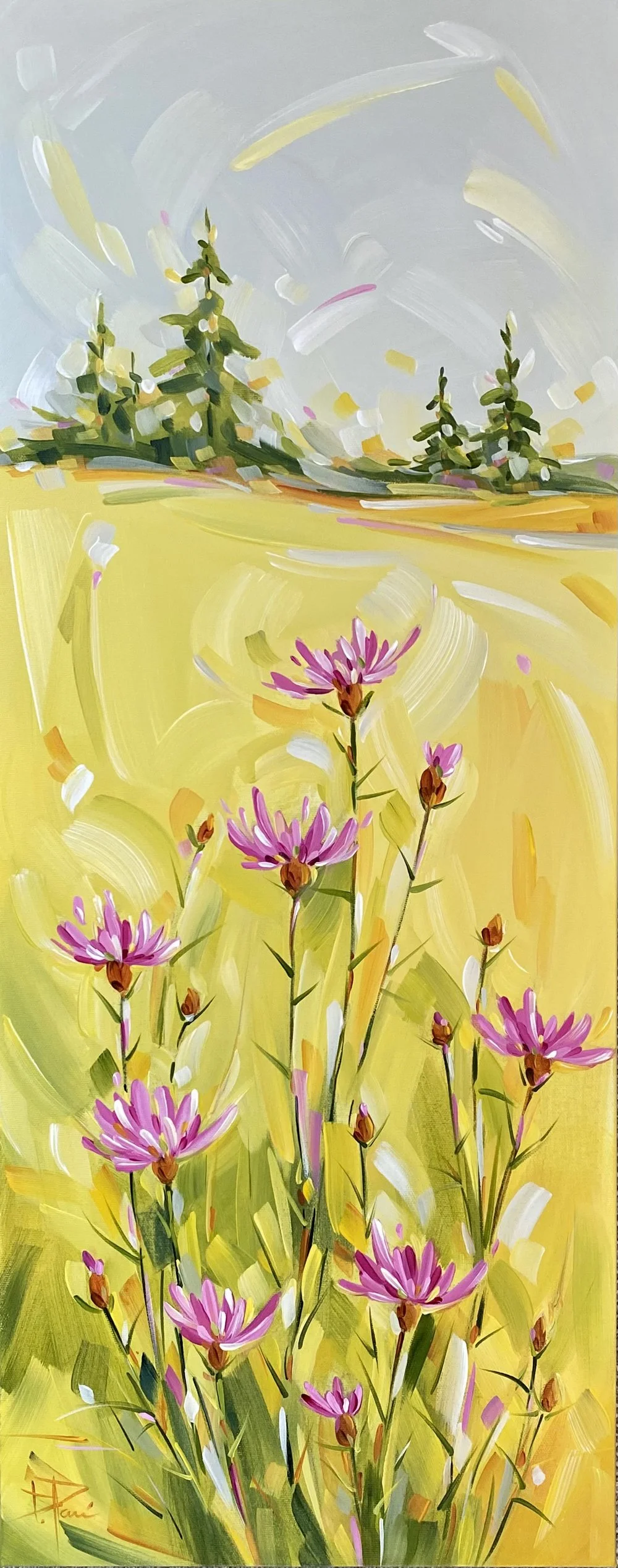 ESCAPADE D'ÉTÉ 30X12  $650