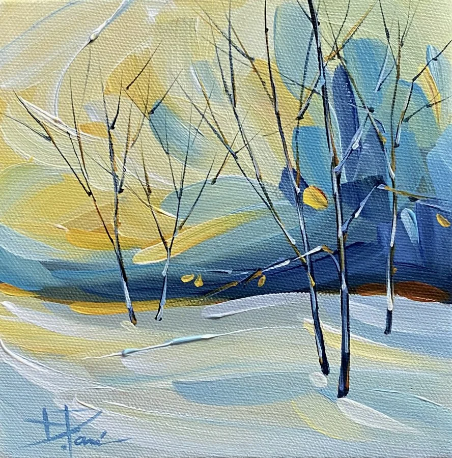 SKY LIGHT 6X6 $130