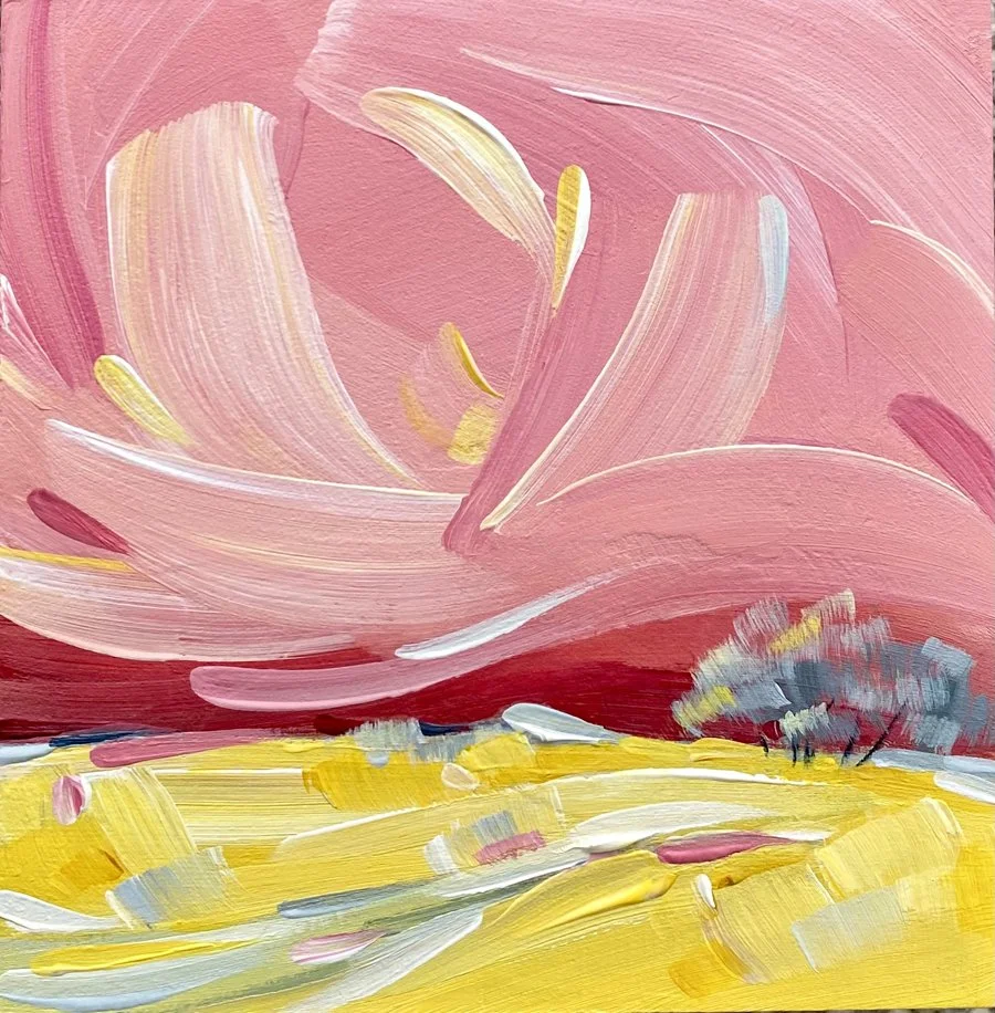 RASPBERRY SKY 4X4  $98
