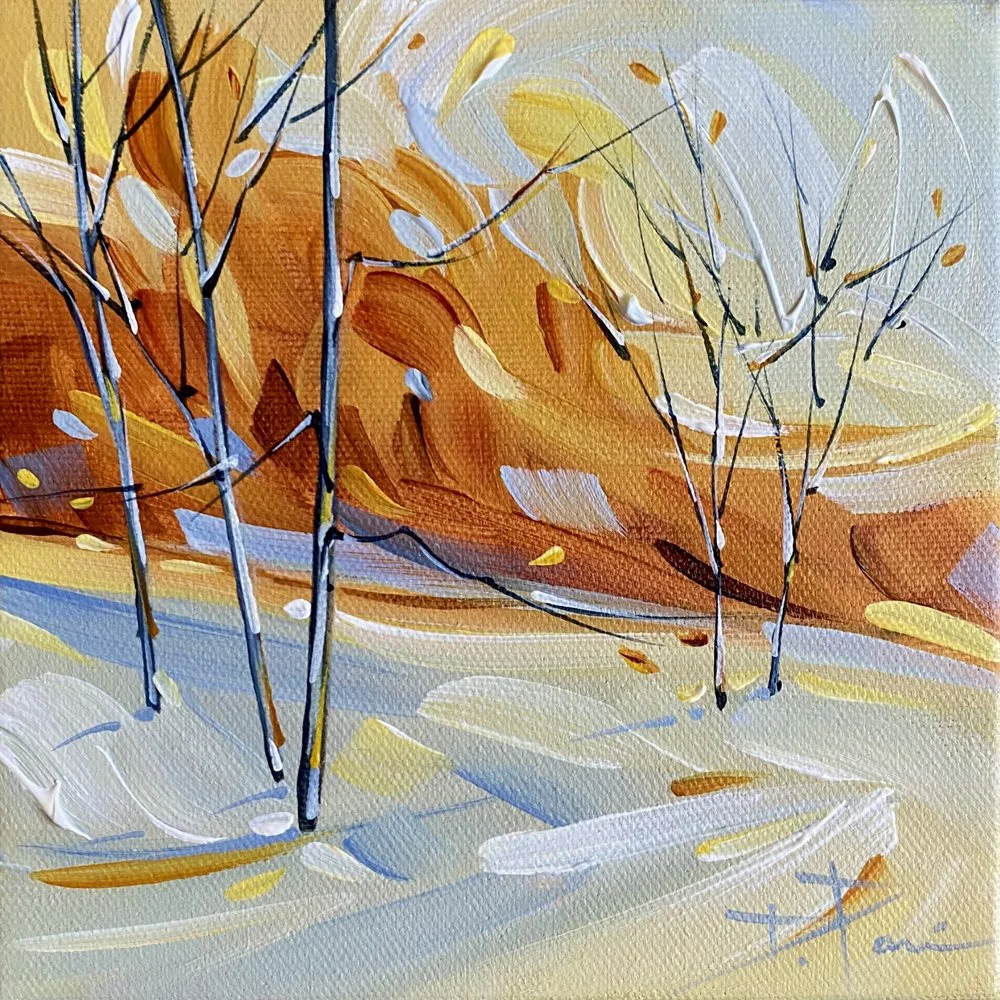 SUNNING 6X6  $135