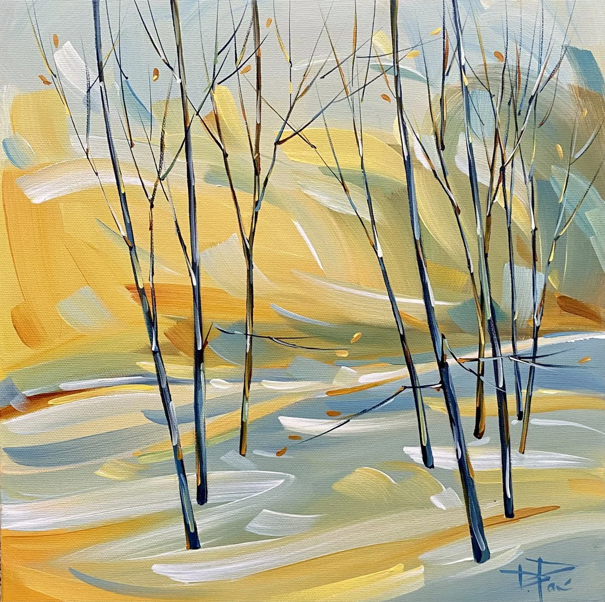 DAY LIGHT 12X12  $350