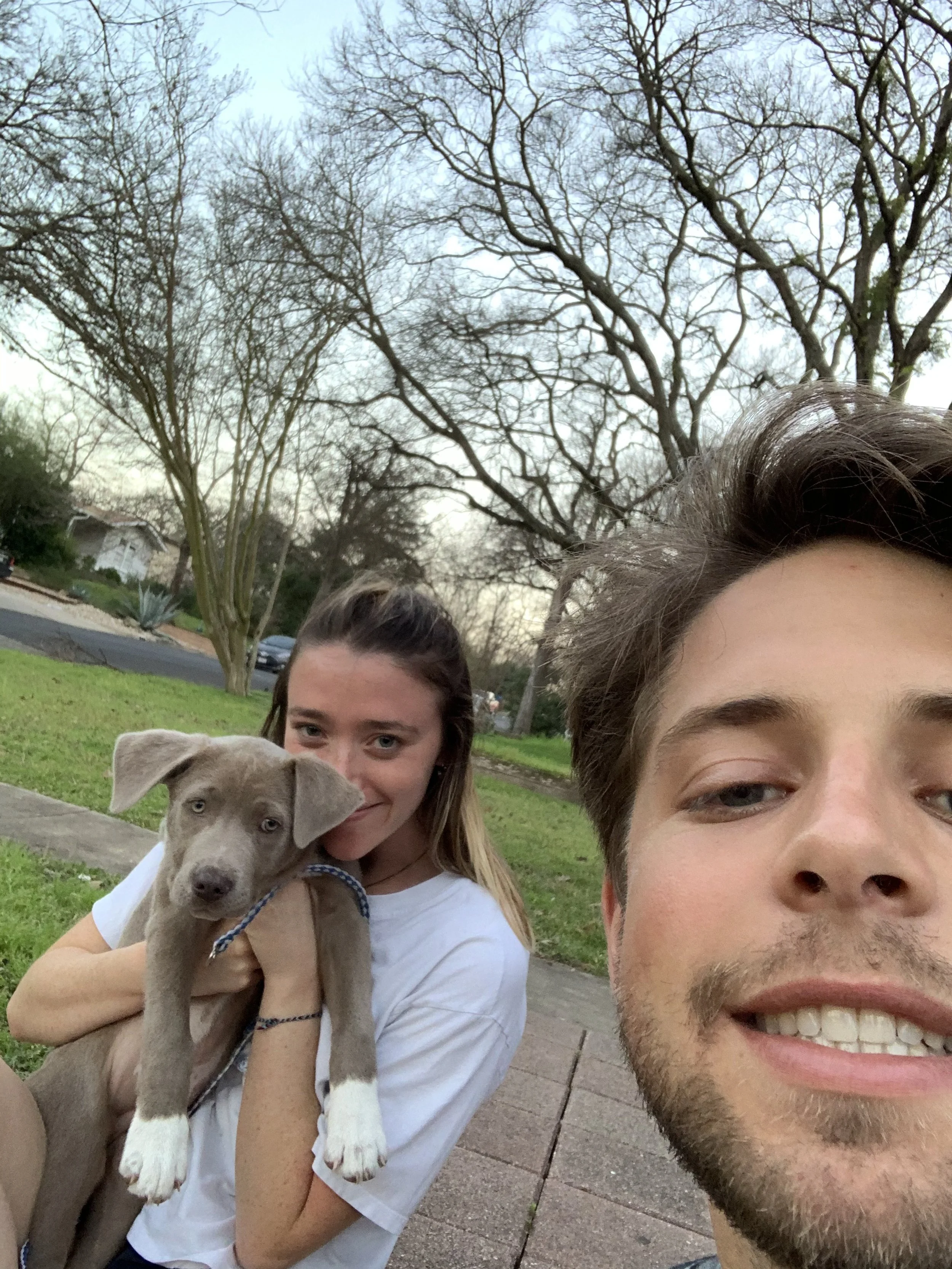 Found our street dog- Moose!