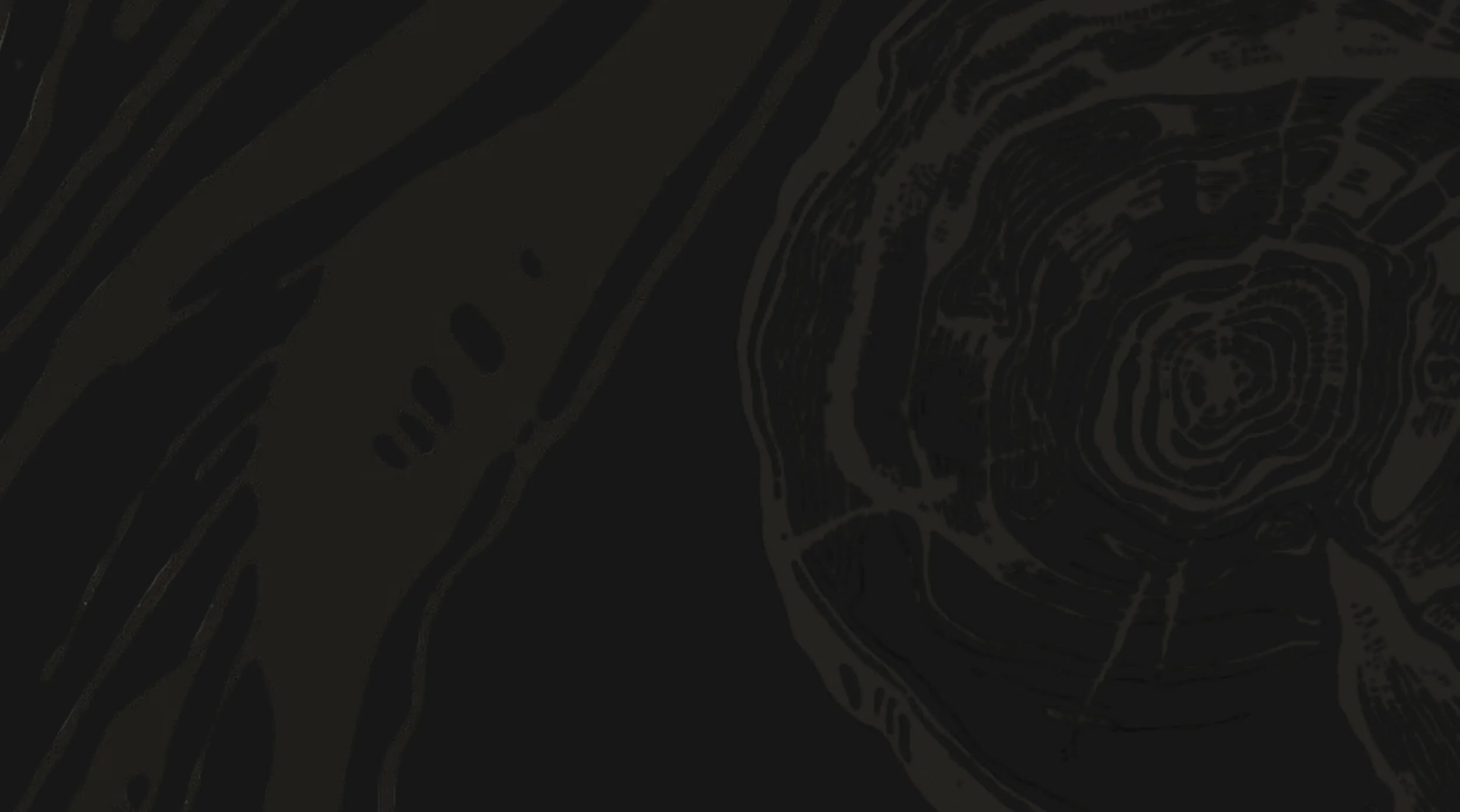 Fallback image Barka (1).jpg