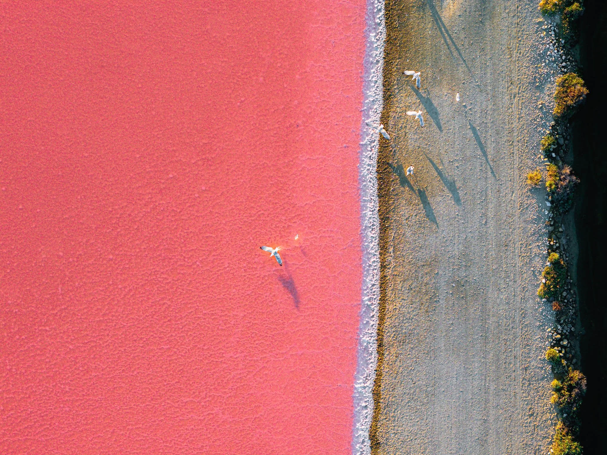 DJI_20260819073546_0289_D.jpg