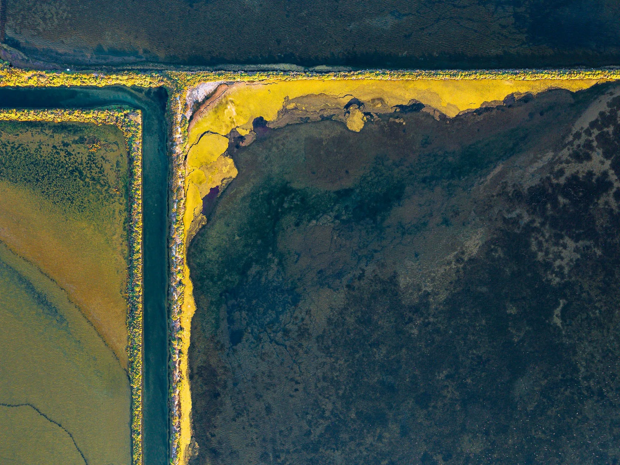 DJI_20260819074010_0327_D.jpg