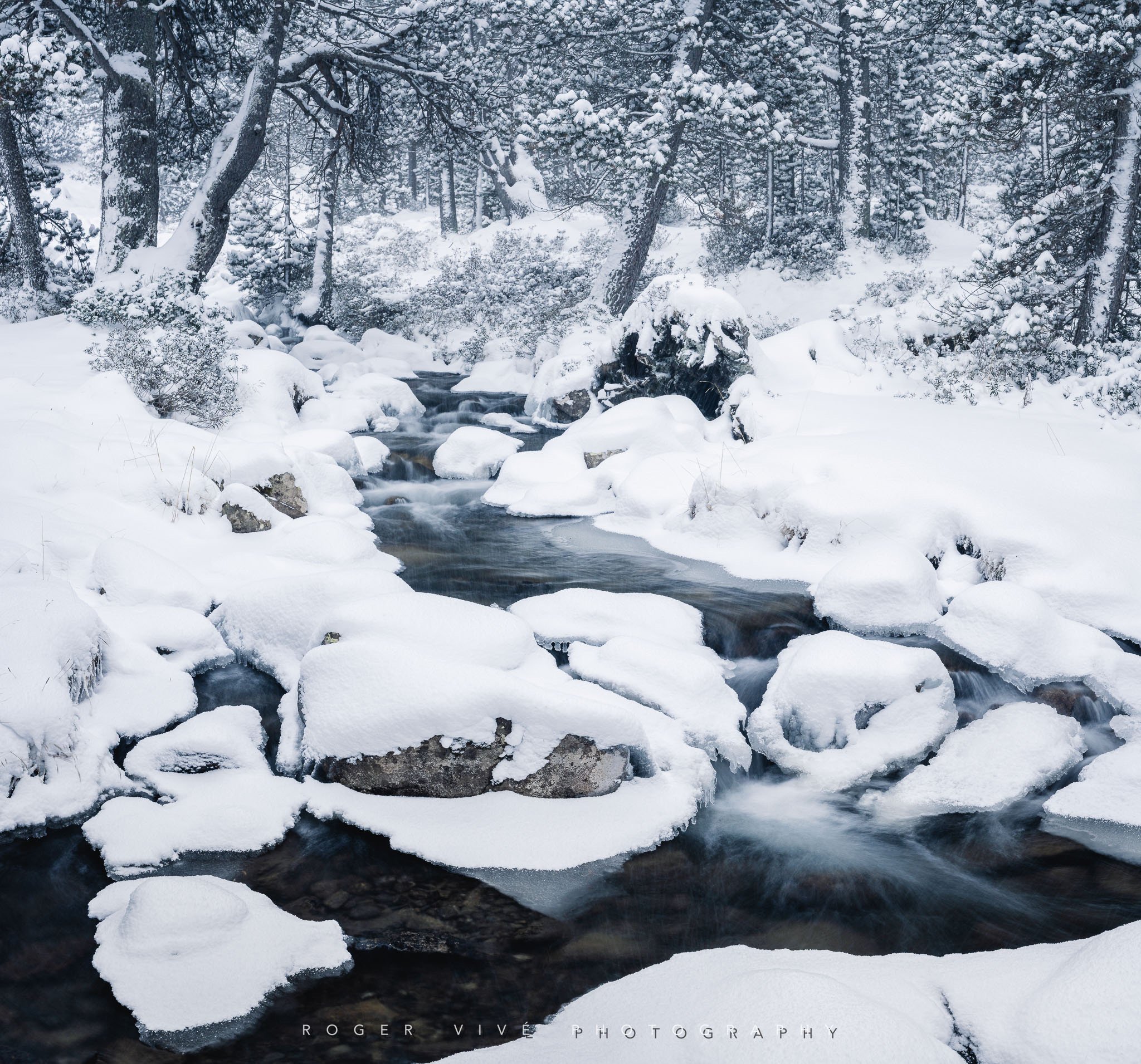 RVP_A7RV_251121_2714-Pano.jpg