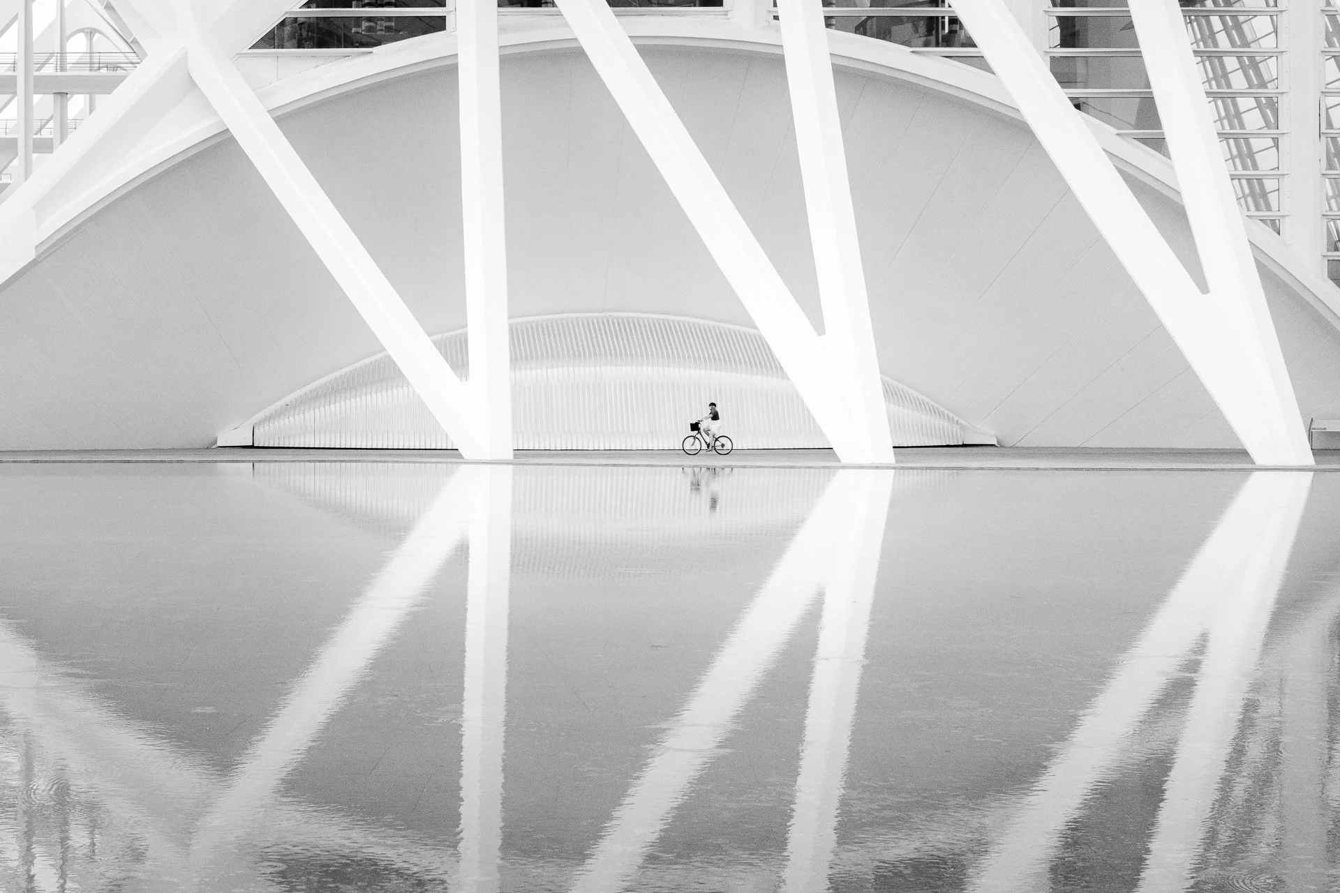 RVP_FujiX100VI_260826_02150.jpg
