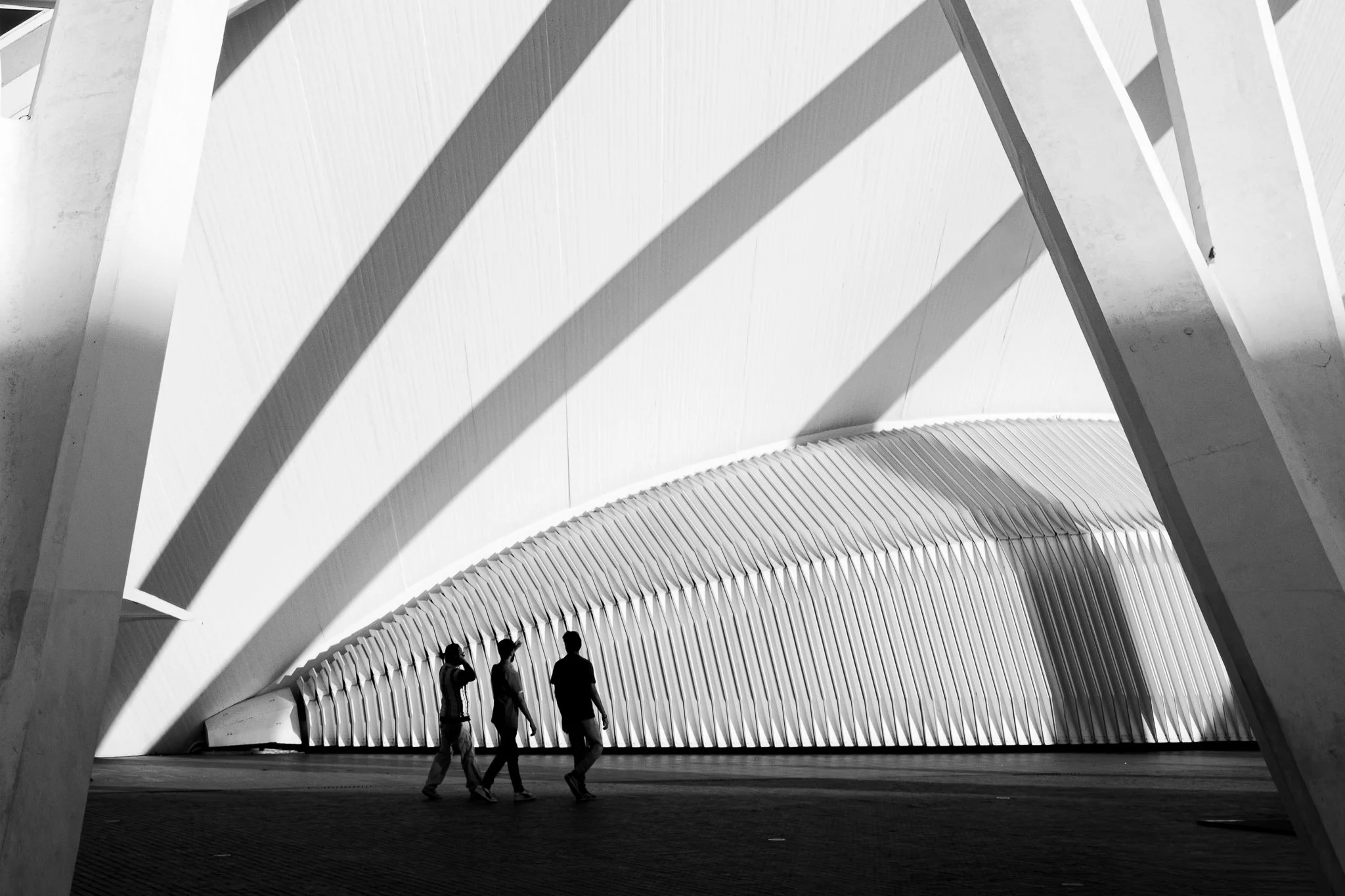 RVP_FujiX100VI_260419_00816.jpg