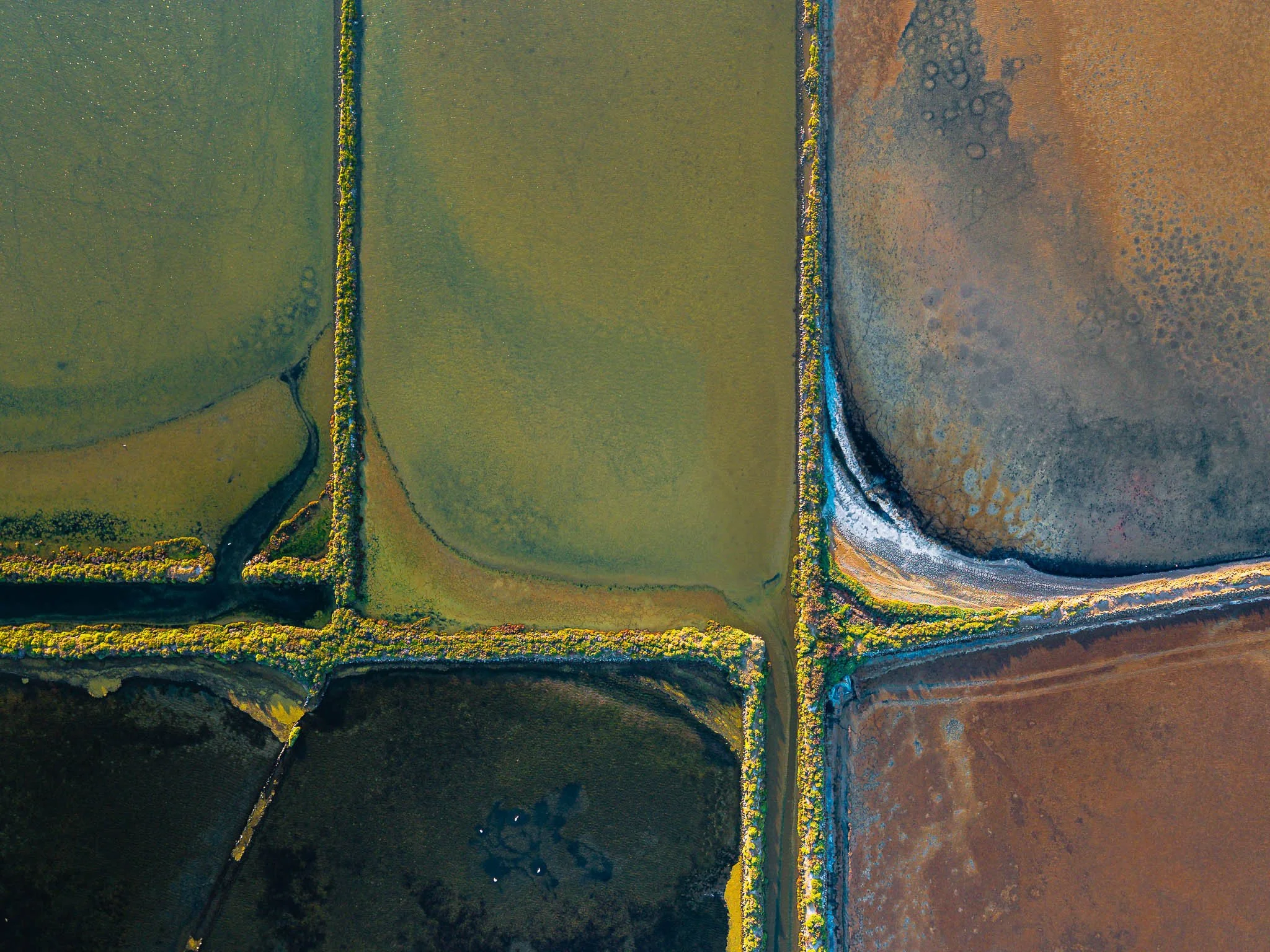 DJI_20260819074212_0357_D.jpg