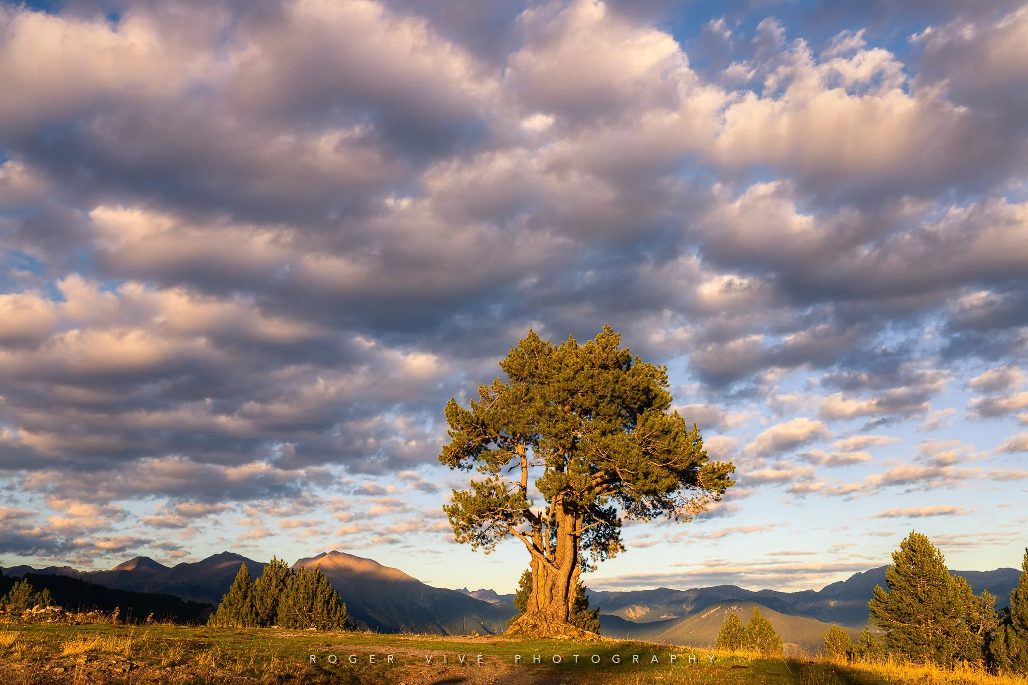 RVP_A7RV_260911_5021.jpg