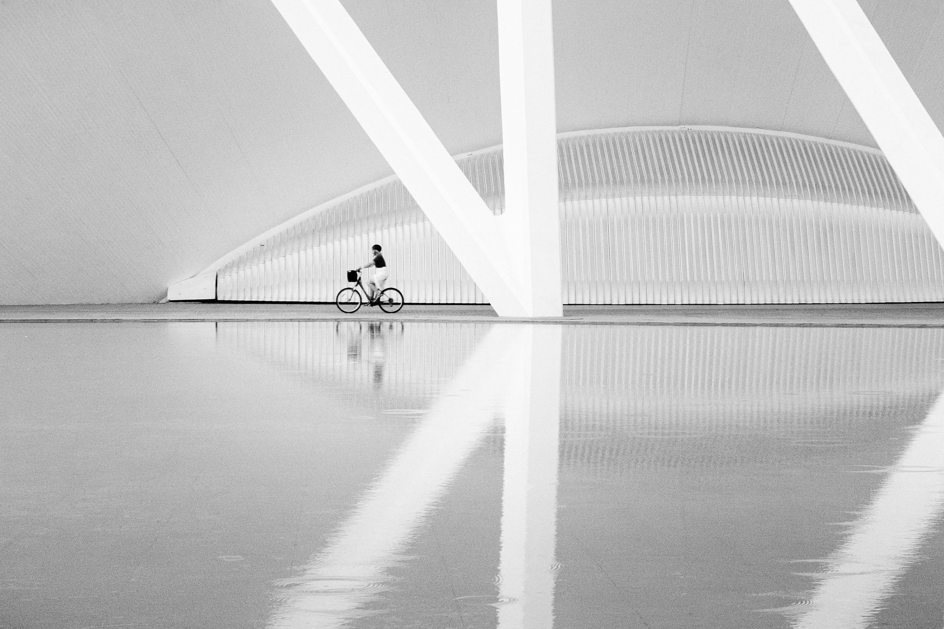 RVP_FujiX100VI_260826_02155.jpg