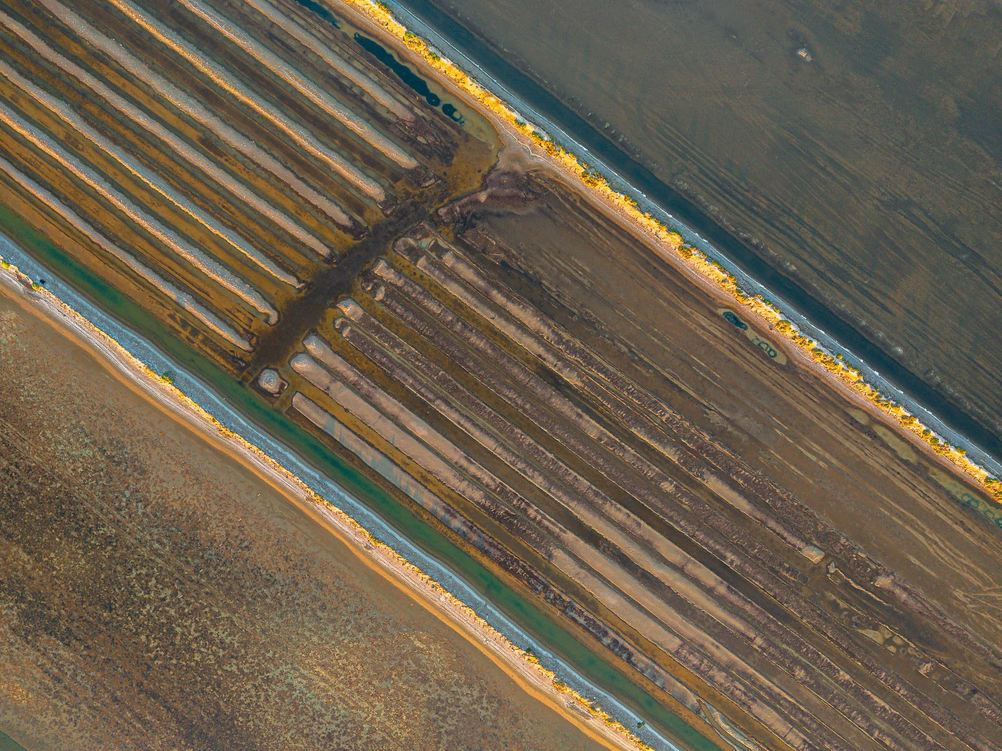 DJI_20260819071911_0270_D.jpg