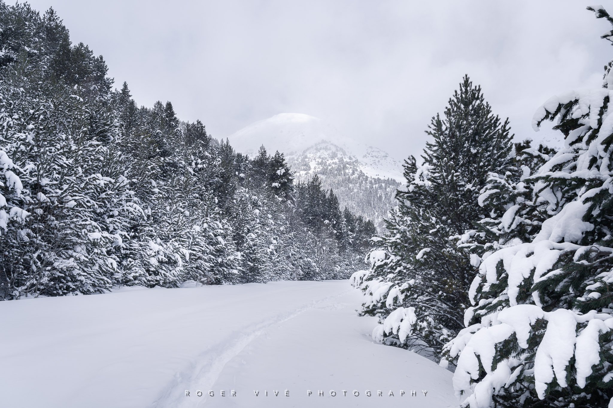 RVP_A7RV_260123_4702.jpg