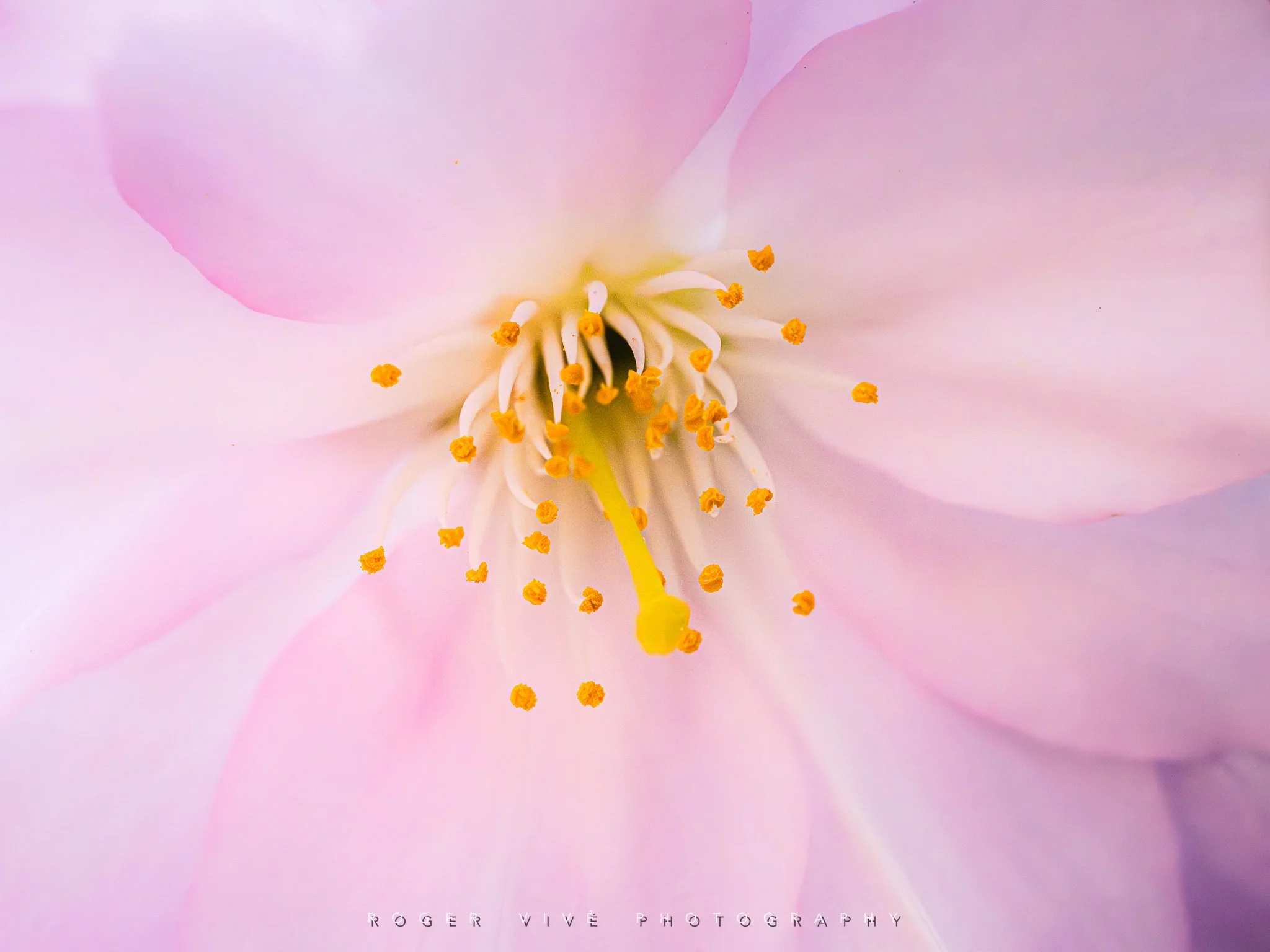 RVP_A7RV_260313_5843-Editar.jpg