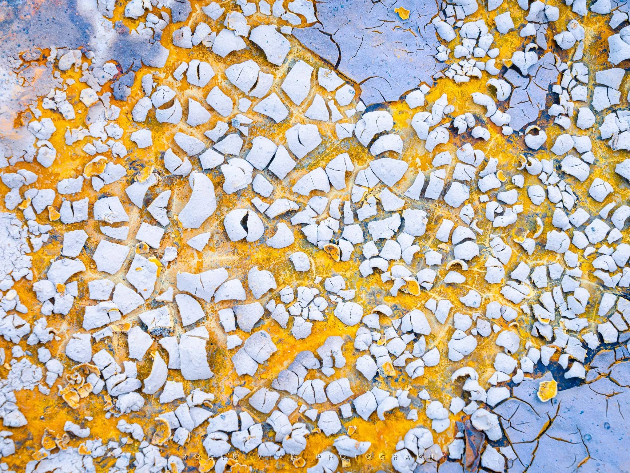 RVP_A7RV_260417_9125.jpg