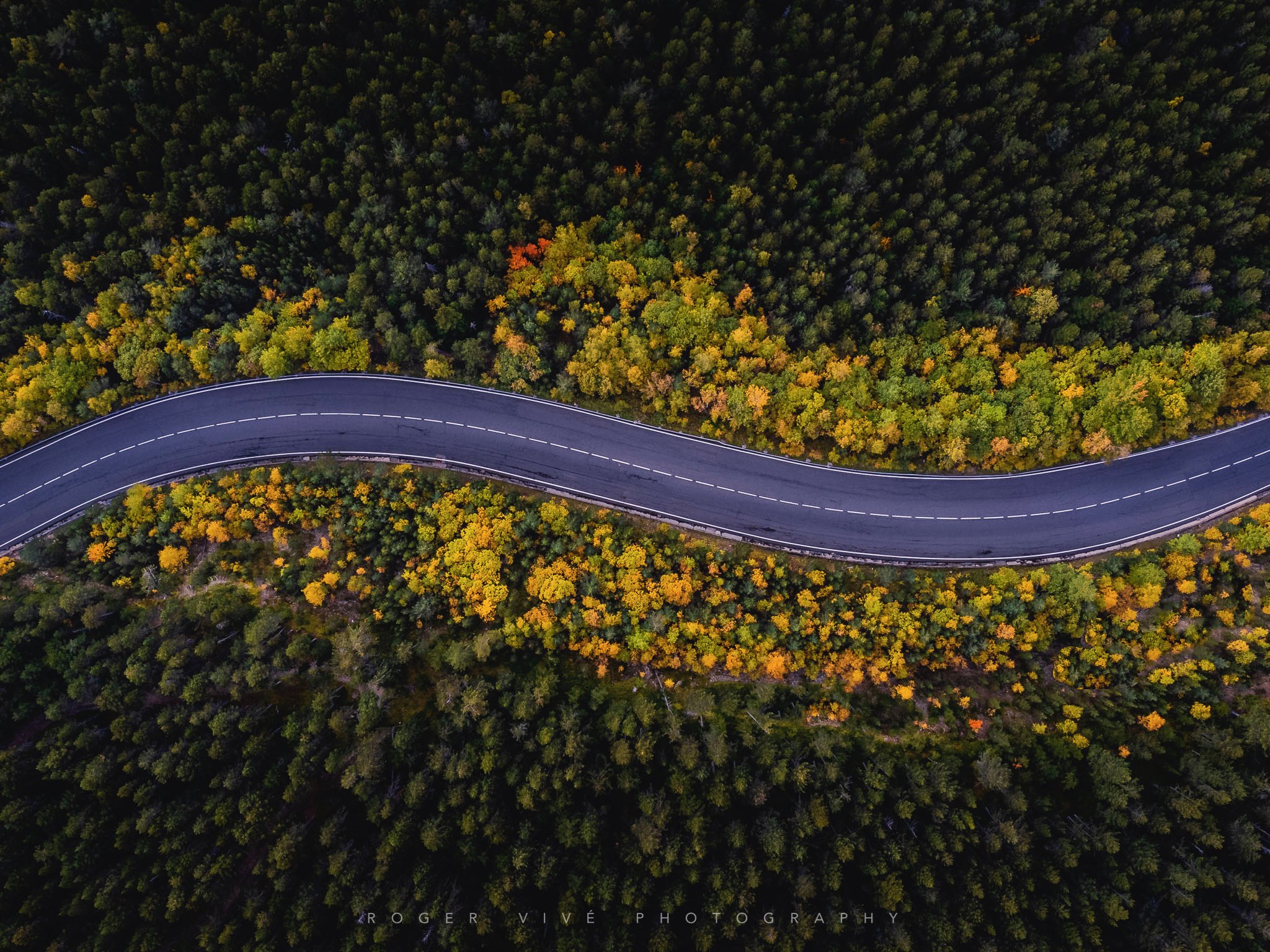 RVP-DJI0565.jpg