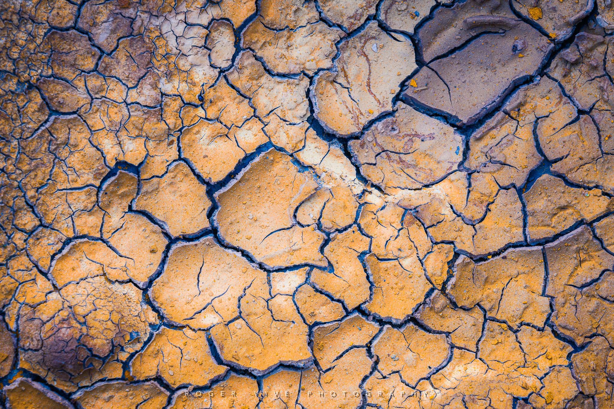 RVP_A7RV_260418_9249.jpg