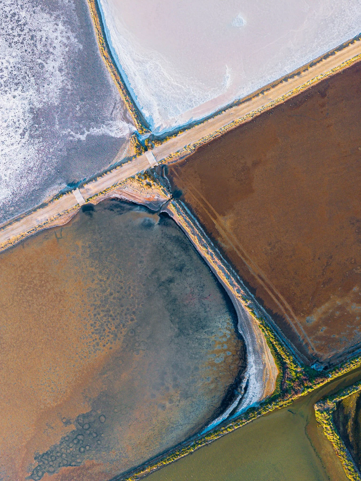 DJI_20260819074349_0372_D.jpg