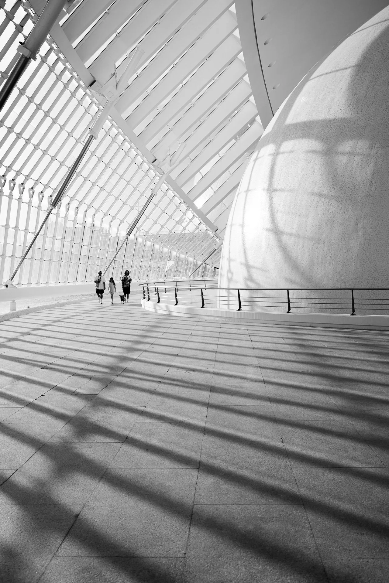 RVP_FujiX100VI_260828_02494.jpg