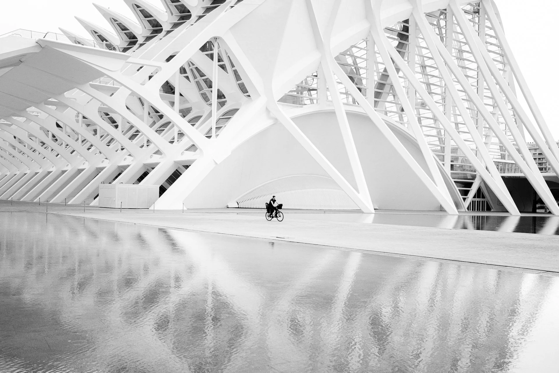RVP_FujiX100VI_260826_02129.jpg