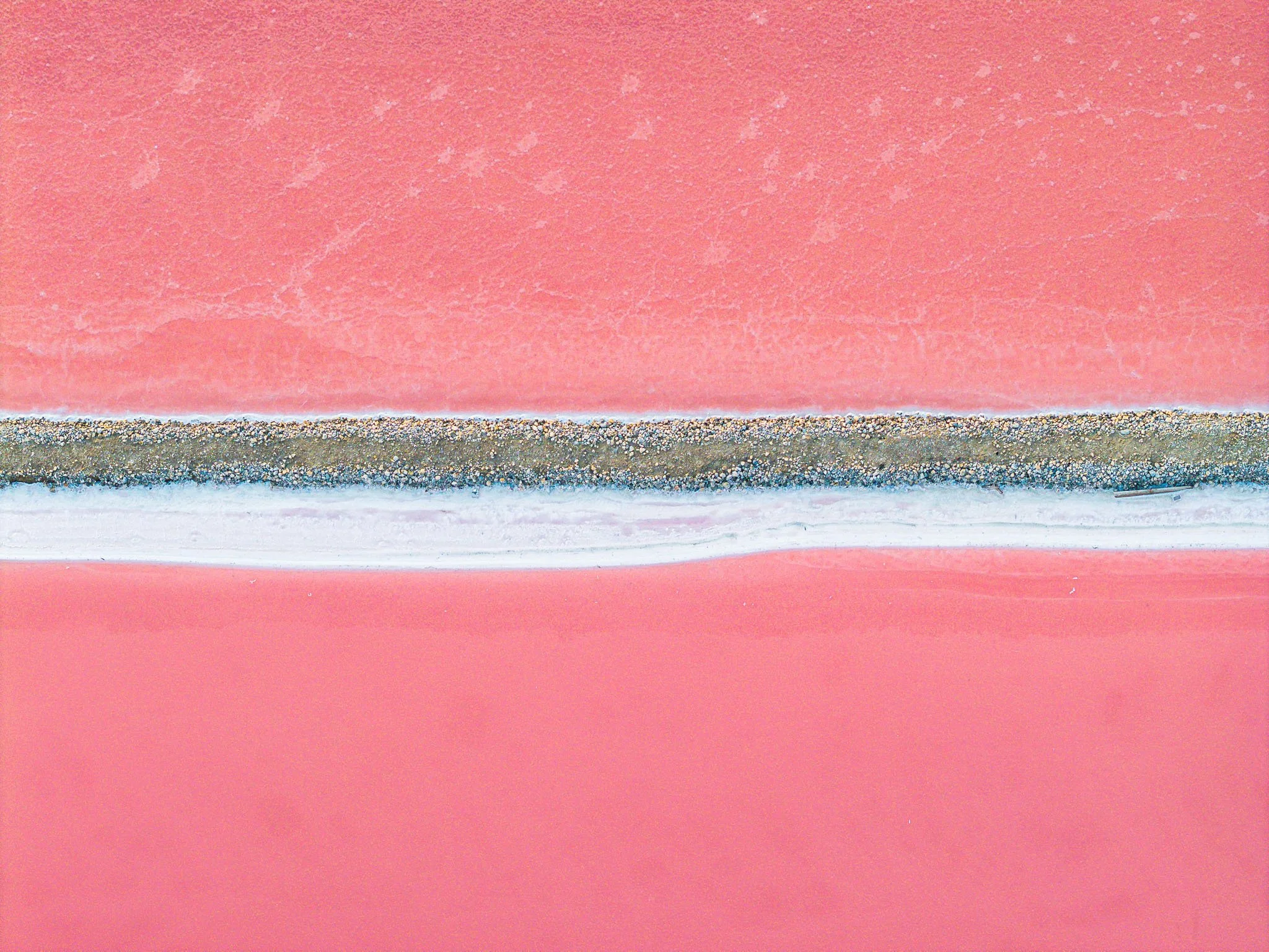 Salt Marshes II