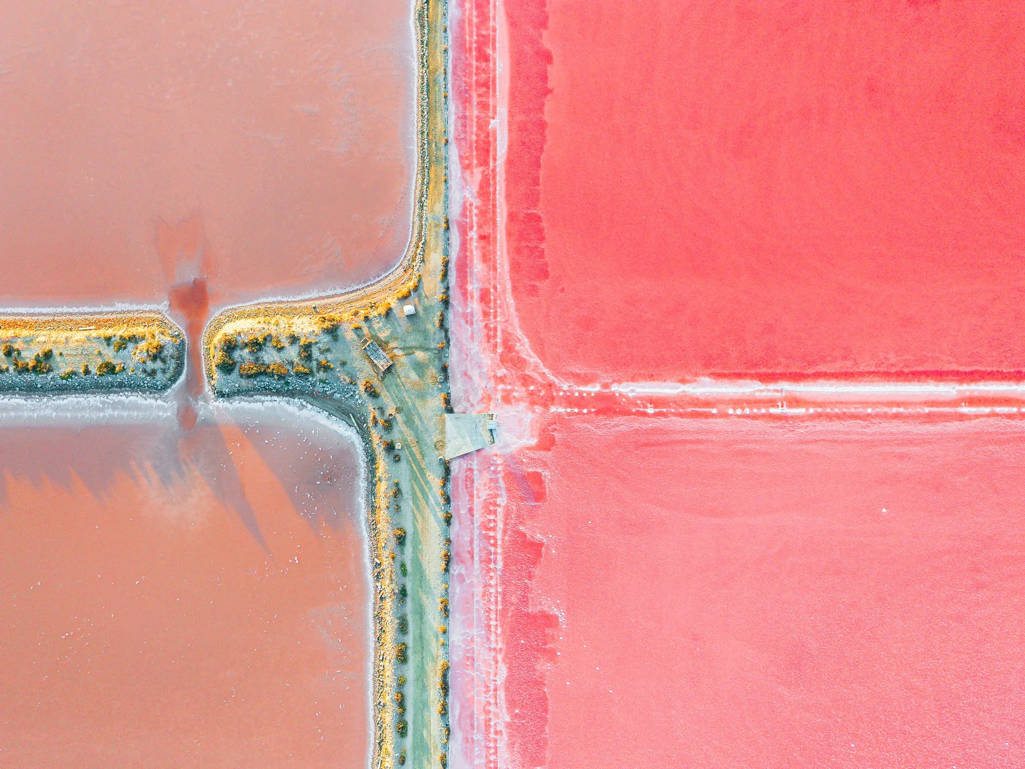 DJI_20260819072756_0186_D.jpg