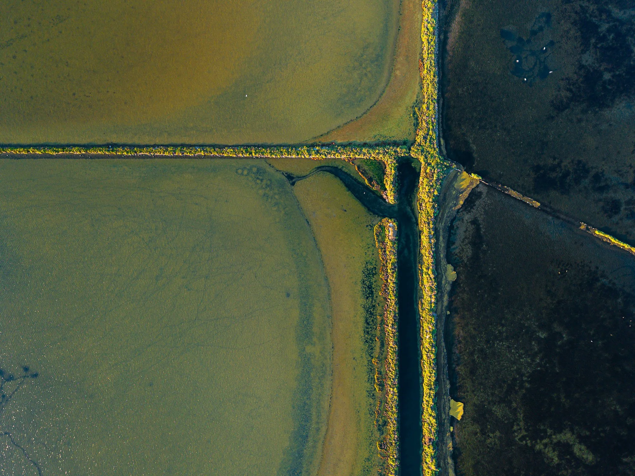DJI_20260819074137_0348_D.jpg