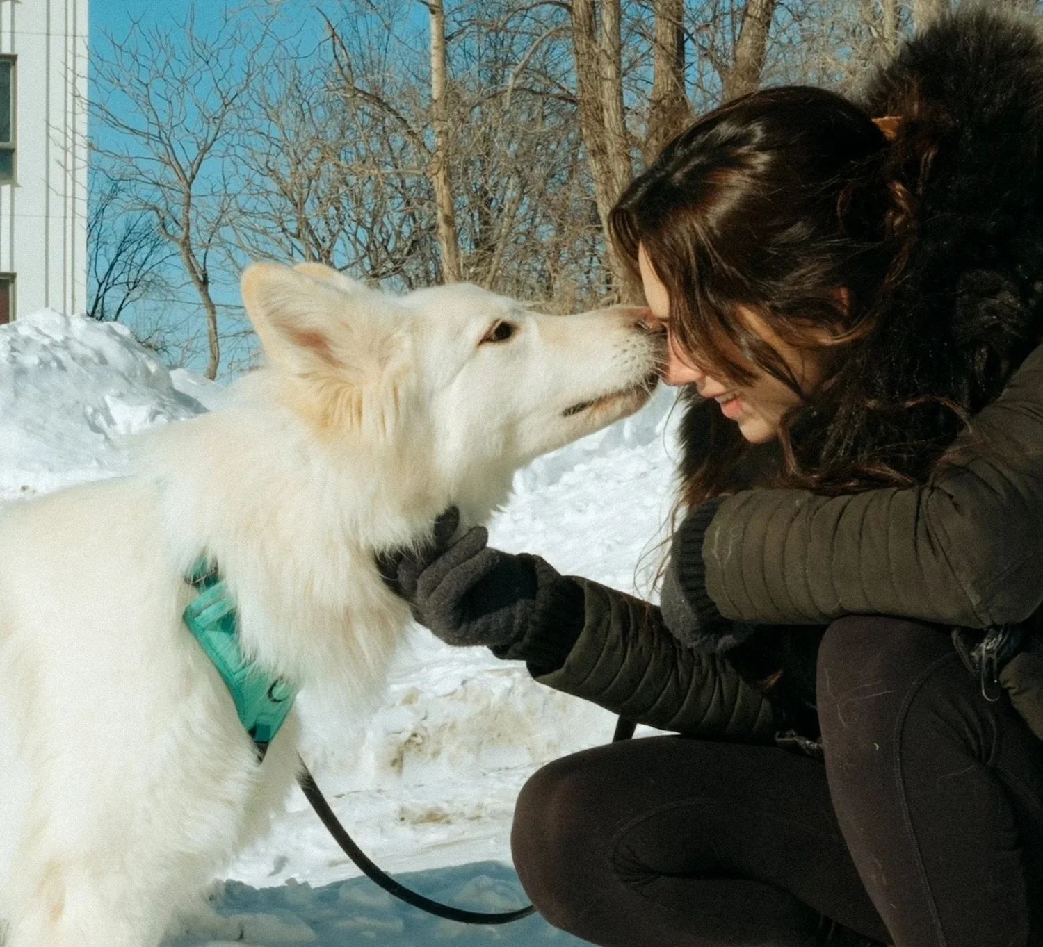 Paws Rescue Passion for Paws - Rescued with Love, Placed with Care
