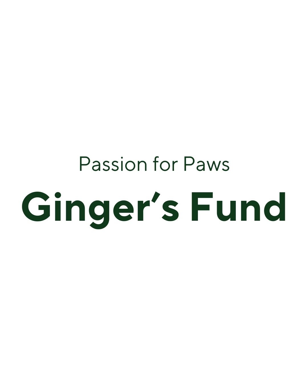 This is Ginger ๐
She’s strong, sweet, and absolutely ready for her next chapter, but first, she needs your help.
We’re raising funds for the ACL surgery that will end years of pain and unlock the active, happy life she’s been wai