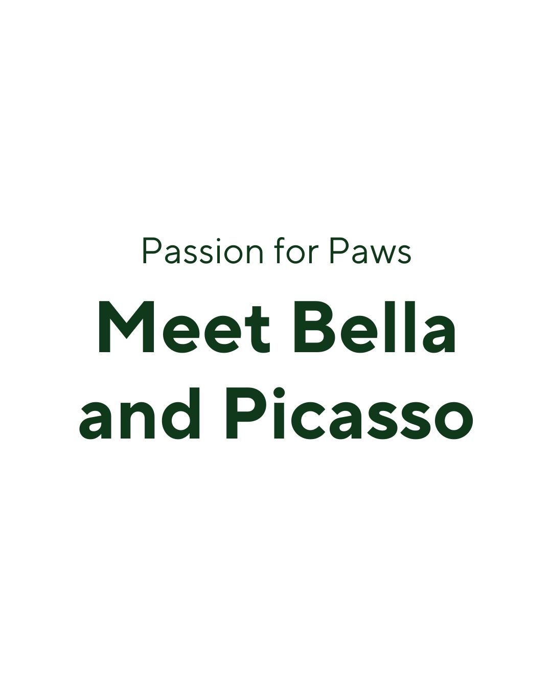 Some things just belong together, like Bella and Picasso.
This bonded pair brings out the best in each other: Bella’s calm steadiness keeps Picasso grounded, and Picasso’s playful energy keeps Bella young at heart.
They’re looking