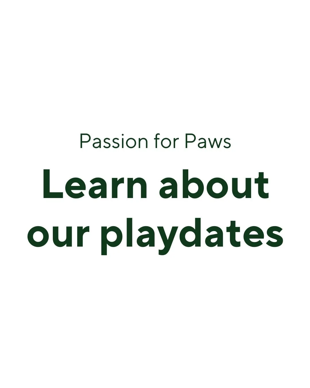 Whether it's a stroll in the park, a visit to your favourite dog-friendly patio, or just some backyard ball time, playdates are a chance for our dogs to have the best day ever.
Perfect for animal lovers who want to help but can’t adopt (yet).
T