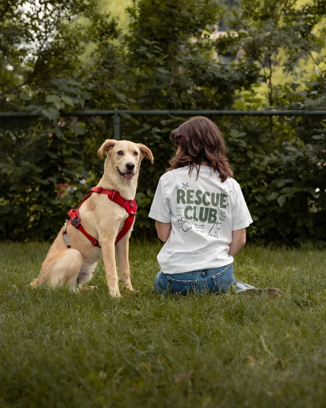 ๐ Ready for a full month of celebrating rescues! Come Kickoff DOGust with Passion for Paws August 3rd! ๐
Come meet our team, shop from amazing local businesses, and support our life-saving rescue work!
Find the link in our bio to register for th