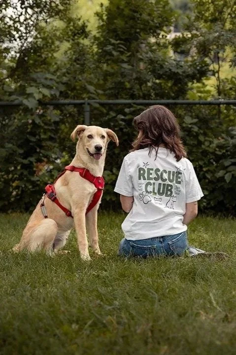 DOGUST Kickoff!