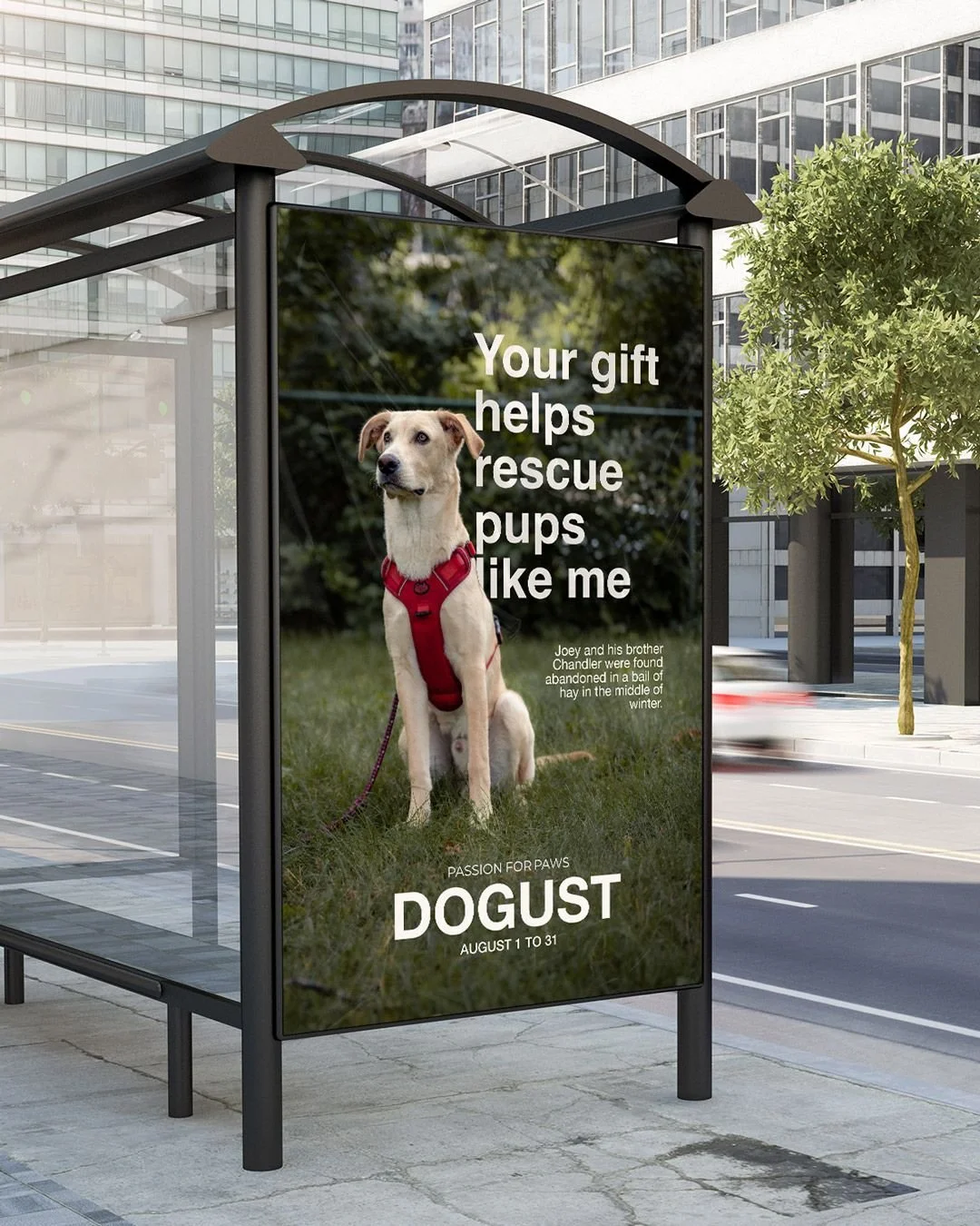 August 1 is the official birthday of all rescues and we've created the DOGUST fund just for them โญ ๐พ Link in bio to learn more!
๐ธ: @clicksxchris
#dogust #rescuedog #giving