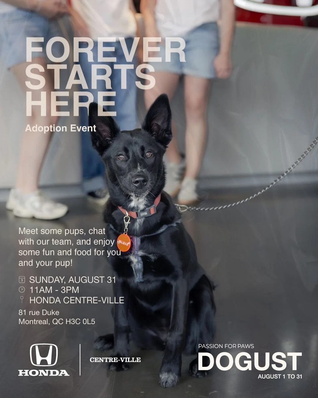 DOGust is the month of second chances… and we’re making it official. ๐
Join us for the Forever Starts Here adoption event! A day of smiles, wagging tails, and maybe even your next best friend.
๐
August 31 | 11–3
๐ Honda Centre-V