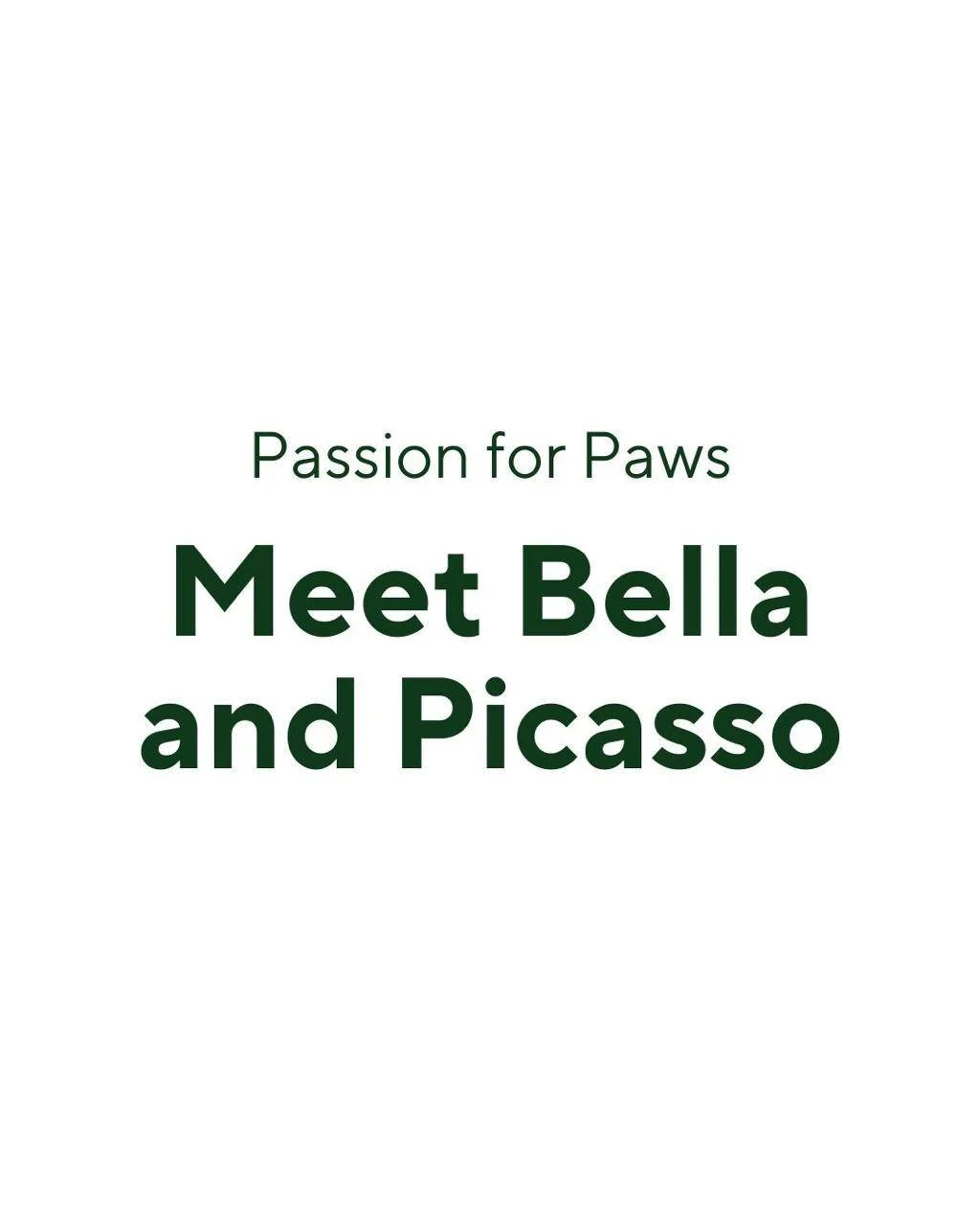☀️ Morning walk, side by side
 🍖 Treats &amp; naps, close together
 💛 Evening cuddles, one on each side of you

 This is the dream life Bella &amp; Picasso are waiting for.
 They&rsquo;re bonded for life and they need to be adopted as a pair.

 👉 