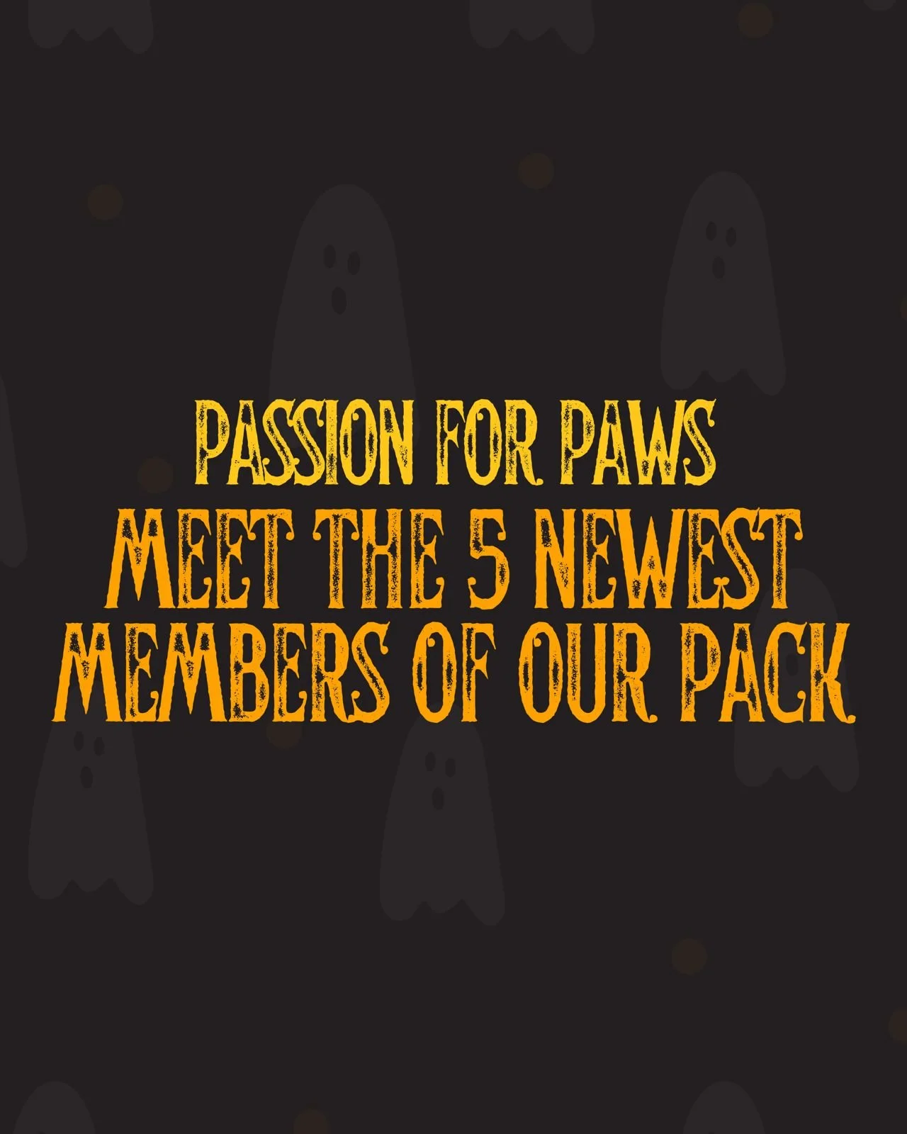 π Mission Pawsible Update! π
Thanks to your generosity, our 5 Husky mix puppies are growing stronger every single day!
Because of YOU, they’ve received vet exams, vaccinations, and all the snuggles they could dream of.
But their journey&