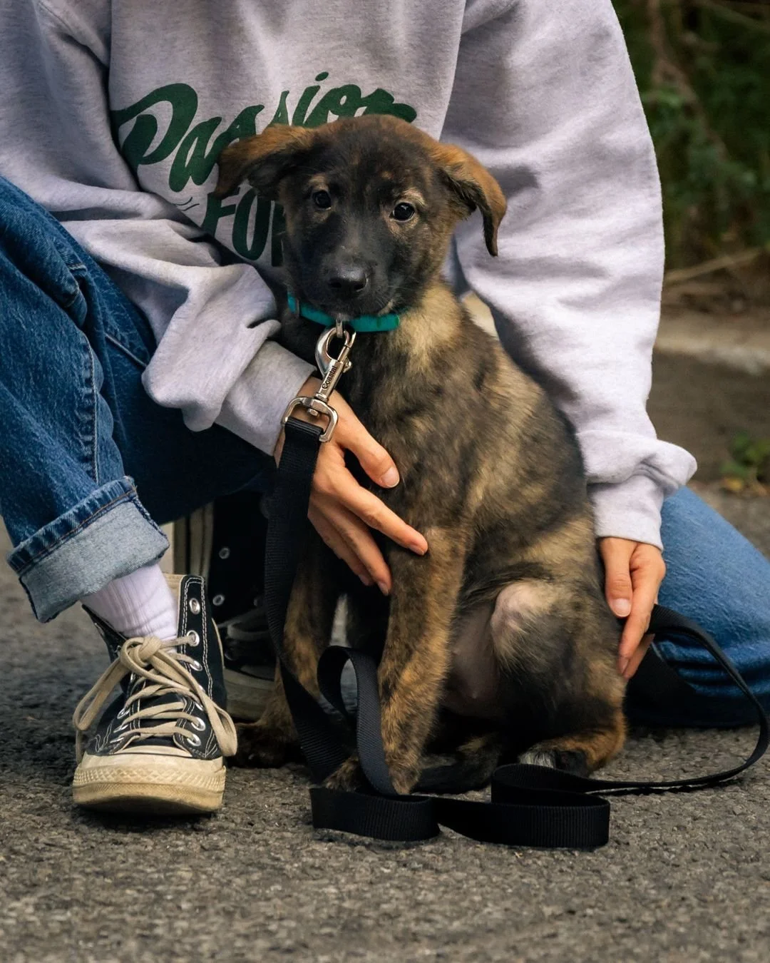 π Costumes, coffee, and cuddles… What more could you want?
Join us October 26, 12–3 PM at the @atdclubhouse for Help the 5 Thrive, our Halloween fundraiser for five rescued Husky mix pups.
πΎ Fun, food & photo ops await!
π Let us k