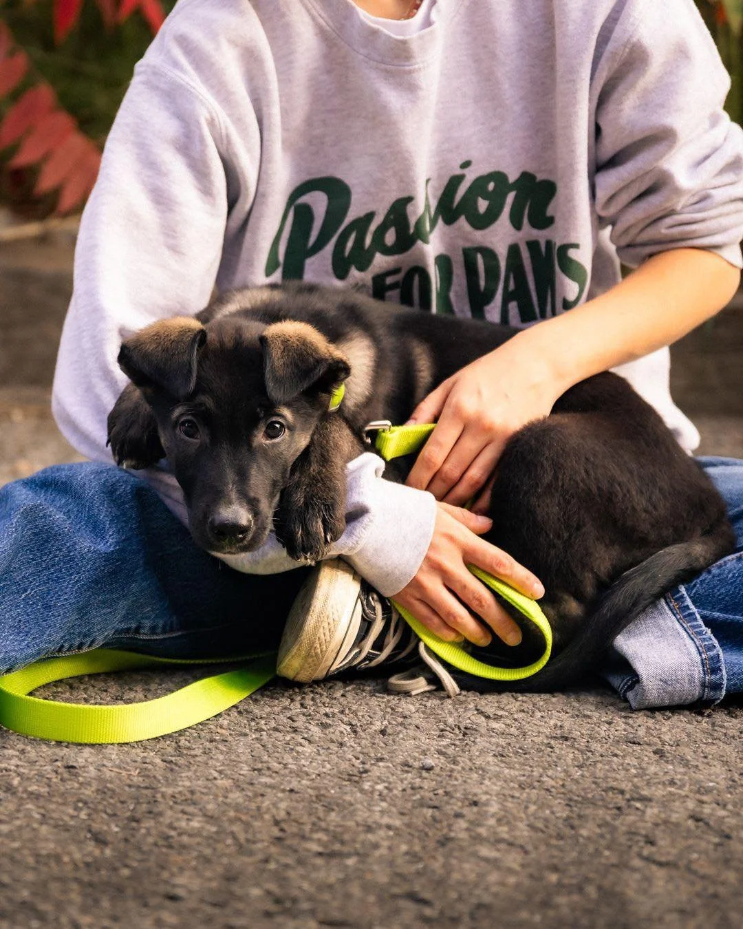 β¨ C’est demain! β¨
Les portes sont ouvertes, les chiots sont prêts, et les gâteries t’attendent!
Aide les 5 à s’épanouir : viens faire un tour, faire un don et t’amuser!
π @atdclubhouse | demain de 12