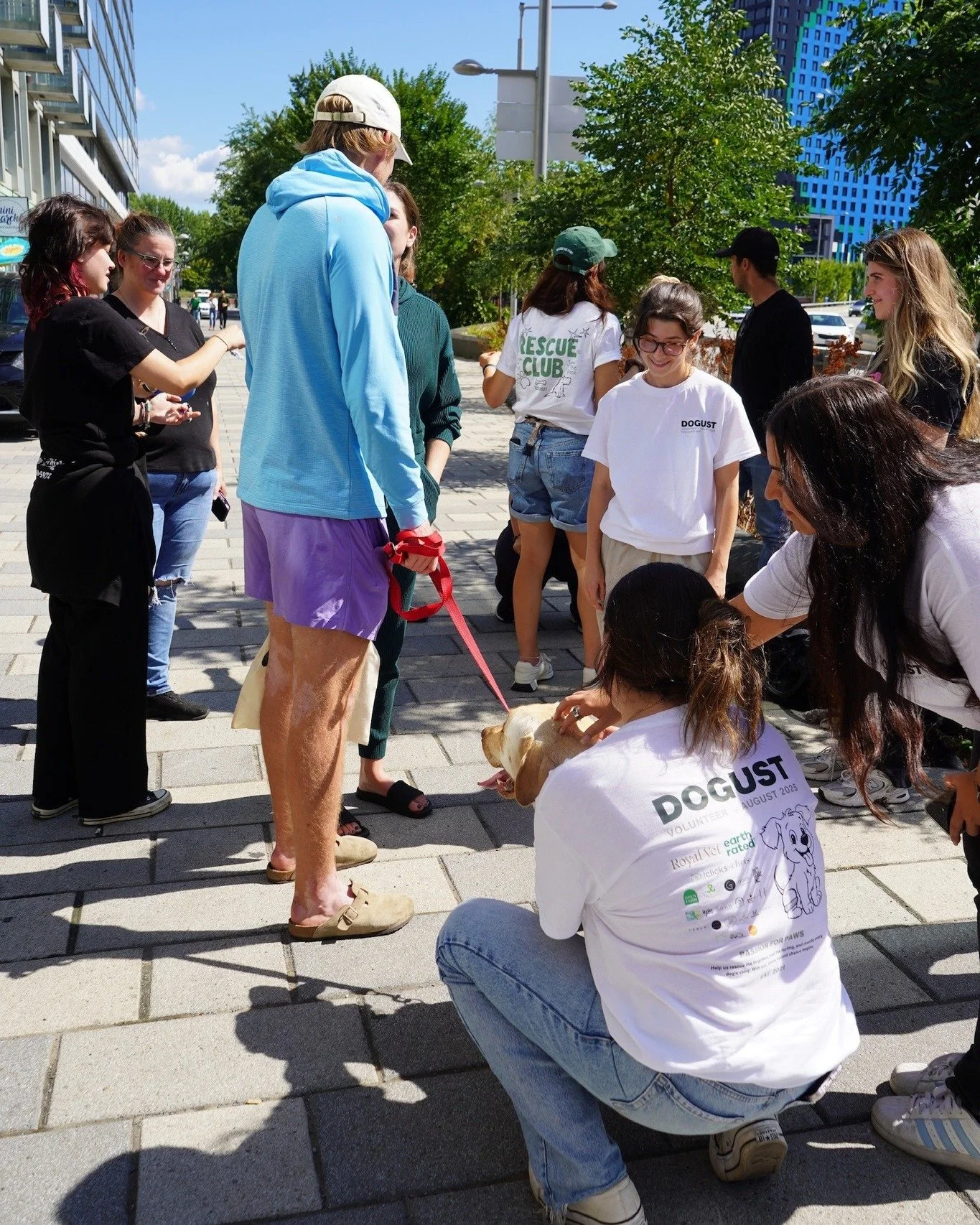 NOUS F&Ecirc;TONS NOS 4 ANS! 🎉

 Ce qui a commenc&eacute; comme un petit effort de sauvetage est devenu une communaut&eacute; vibrante qui change des vies.

Ensemble, nous avons secouru, r&eacute;habilit&eacute; et relog&eacute; d&rsquo;innombrables