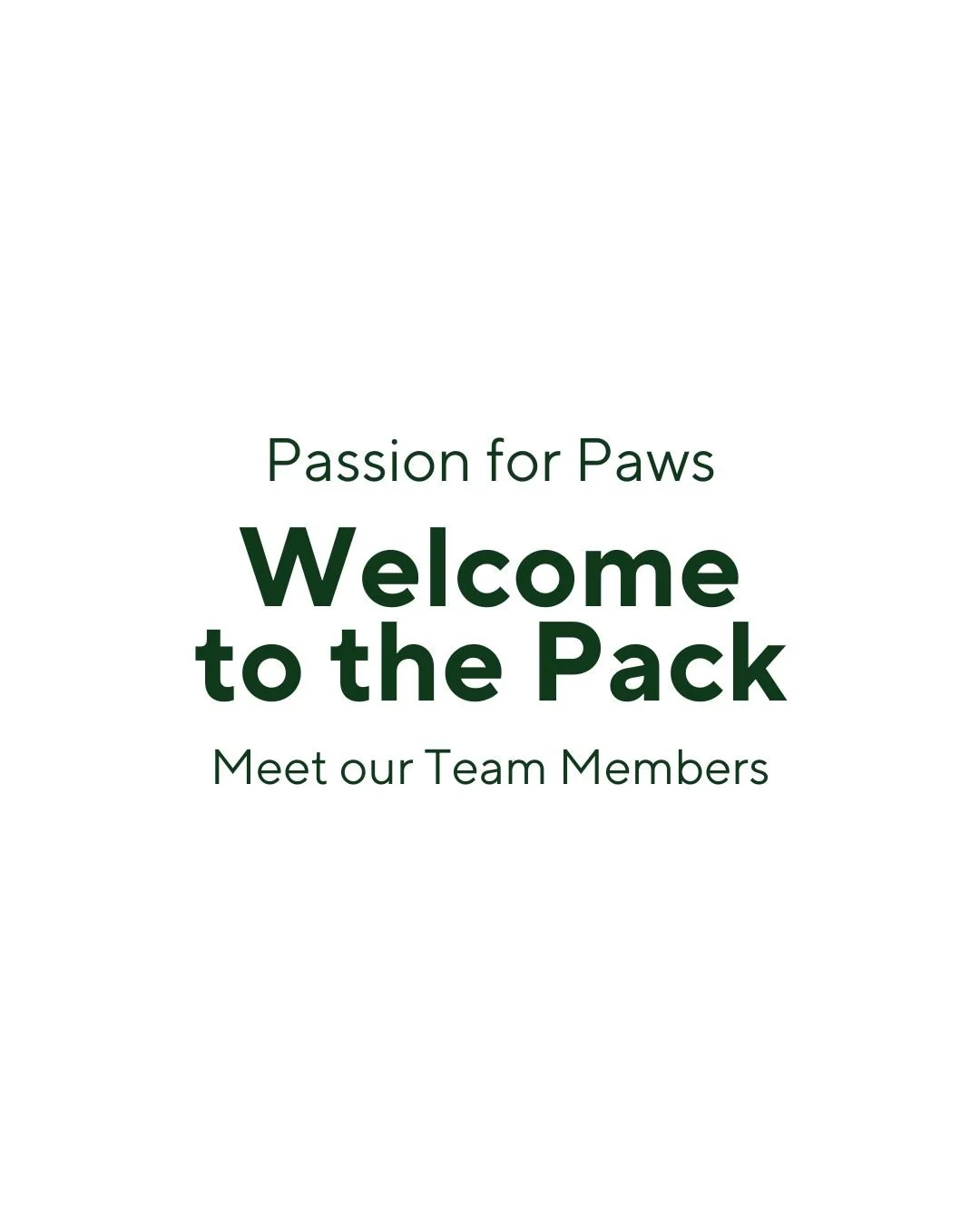 New year, same mission: Love, rescue, community.

This photoshoot brought together our adoptees, alumni, volunteers, and the faces behind Passion for Paws.

Here&rsquo;s to starting the year surrounded by the Pack. ✨

�*��

Nouvelle ann&eacute;e, m&e
