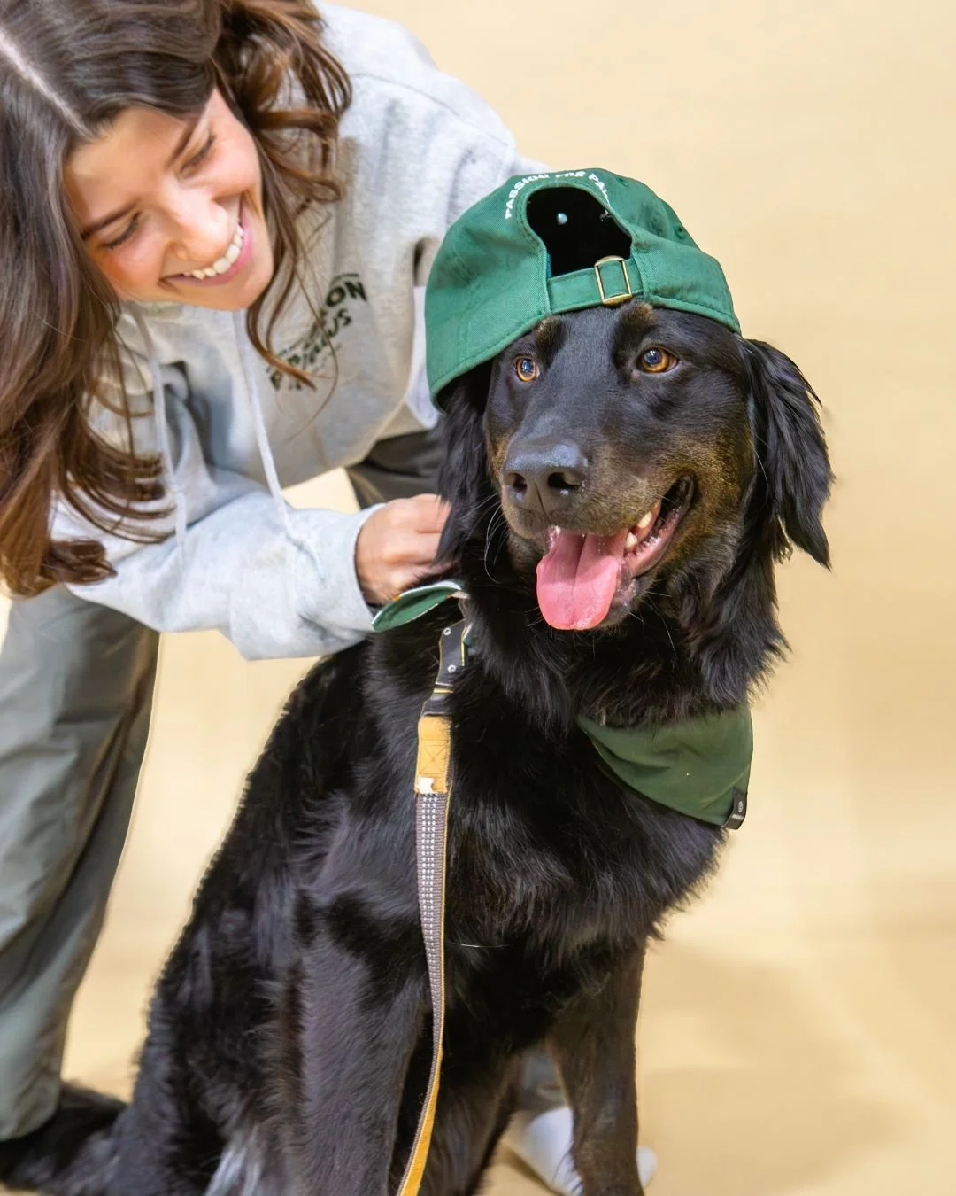 Notre plus r&eacute;cente s&eacute;ance photo &eacute;tait enti&egrave;rement d&eacute;di&eacute;e &agrave; notre Meute. 🐾

Chiens &agrave; l&rsquo;adoption, adopt&eacute;s, b&eacute;n&eacute;voles et notre merch, r&eacute;unis au m&ecirc;me endroit