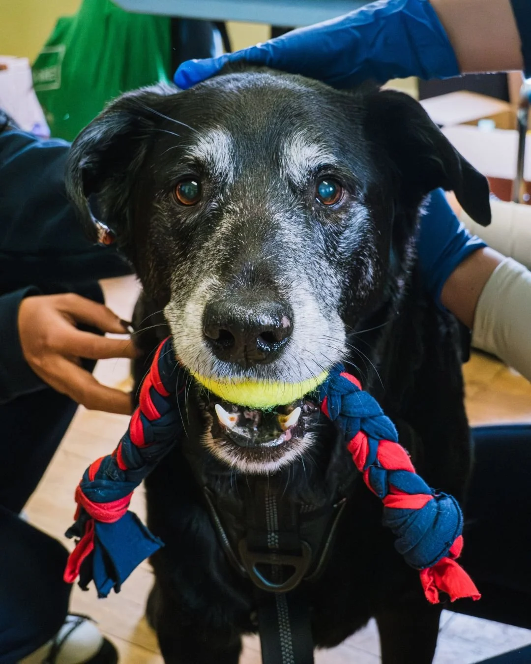 We just completed our 3rd annual Toy Drive!

To everyone who donated, shared, volunteered, or supported in any way, thank you. We were able to fill Four SUVs + a car with donations. Our community is incredible!

We&rsquo;re so grateful to stand besid